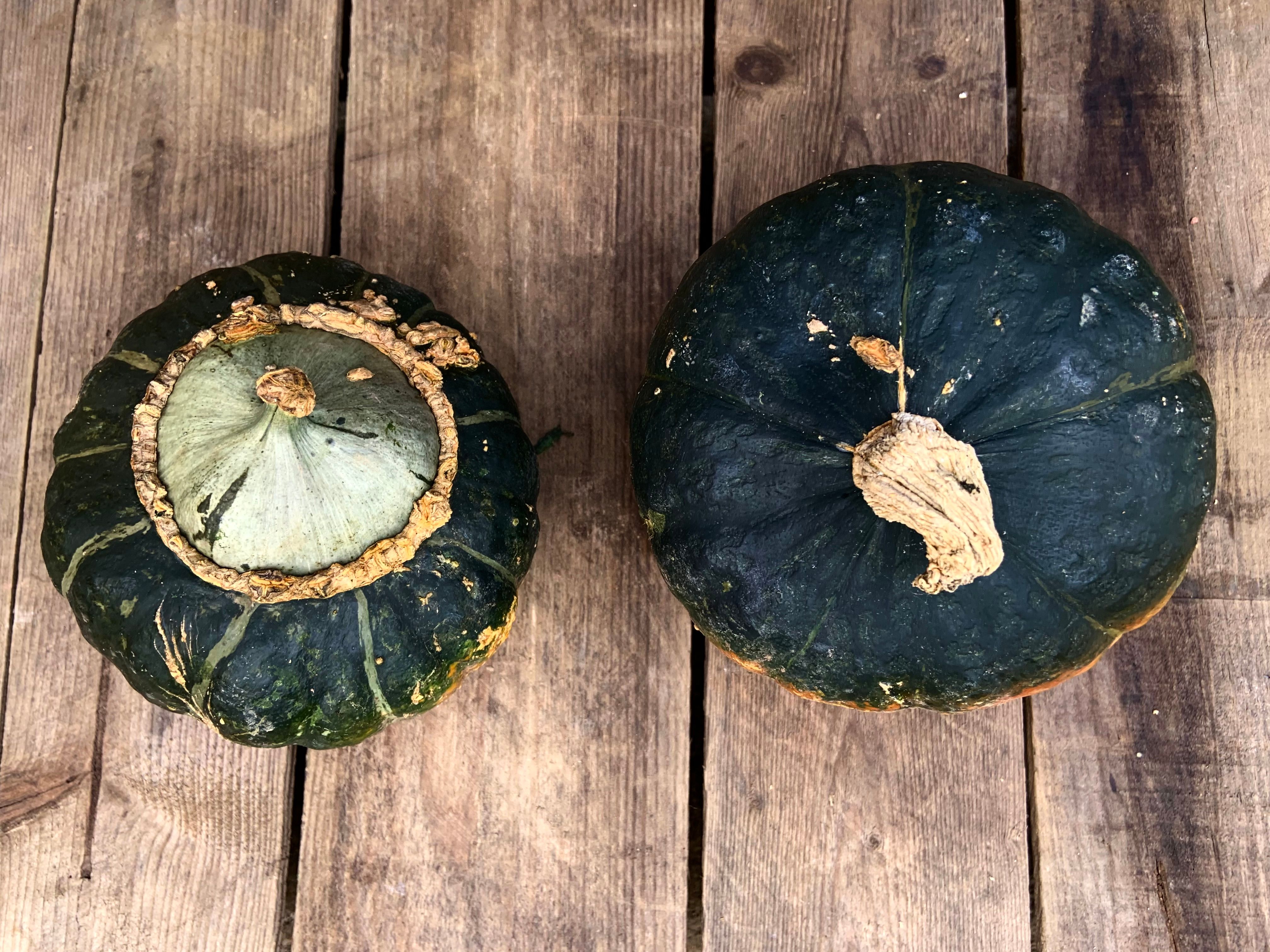 Buttercup Squash