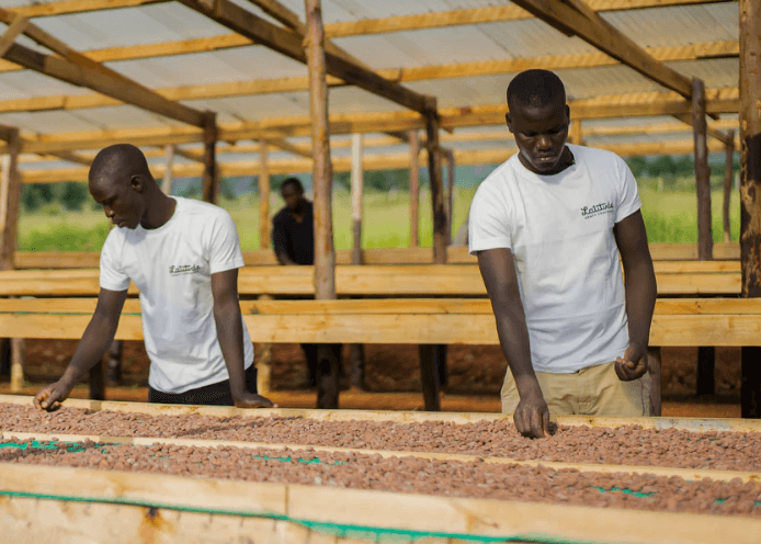 Image of Darkroom Chocolate - Uganda