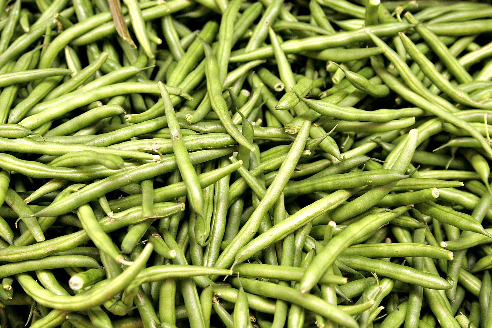 Image of Beans 'French' (250g)
