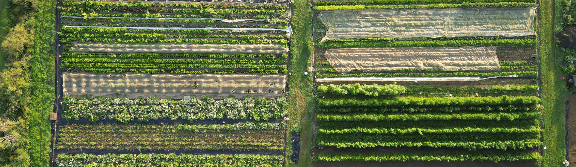 Image of Why Organic?