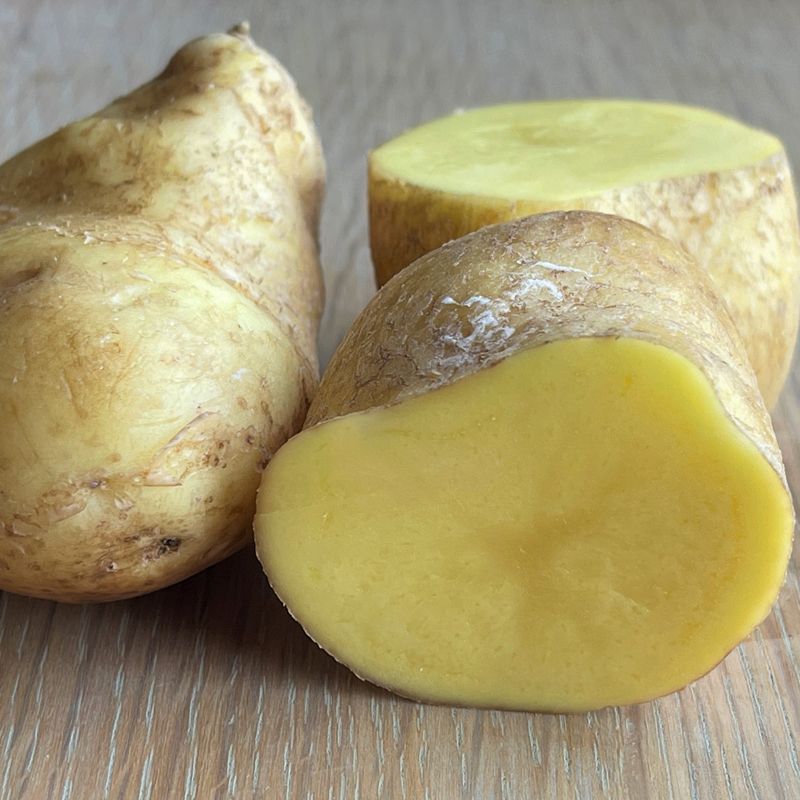 Buston Farms Mayan Gold Potato grown in Northumberland: 5kg (Pre-order Product)