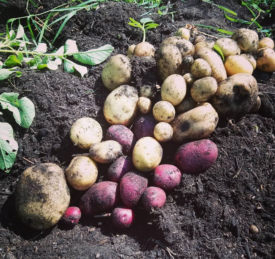 Image of A Fairer Food System