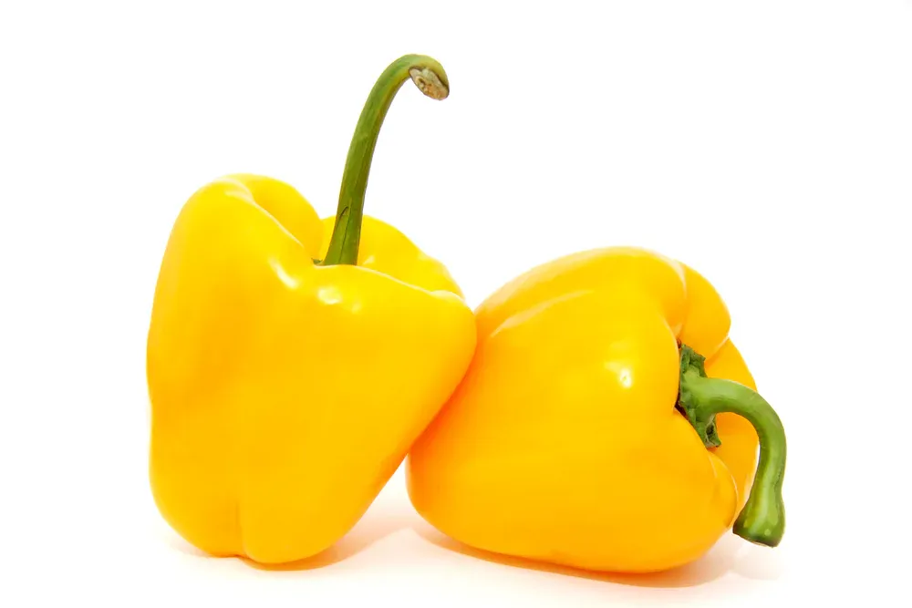 Yellow Bell Pepper