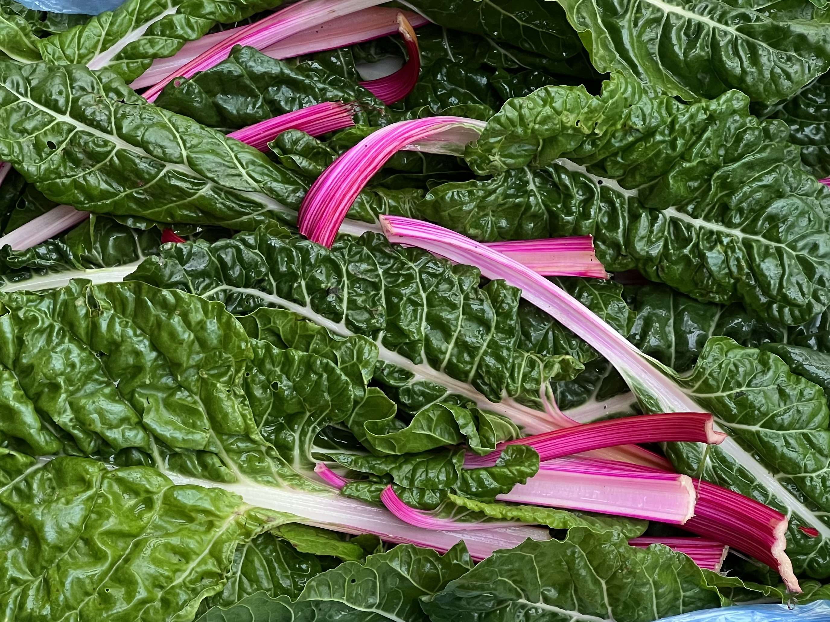  Chard