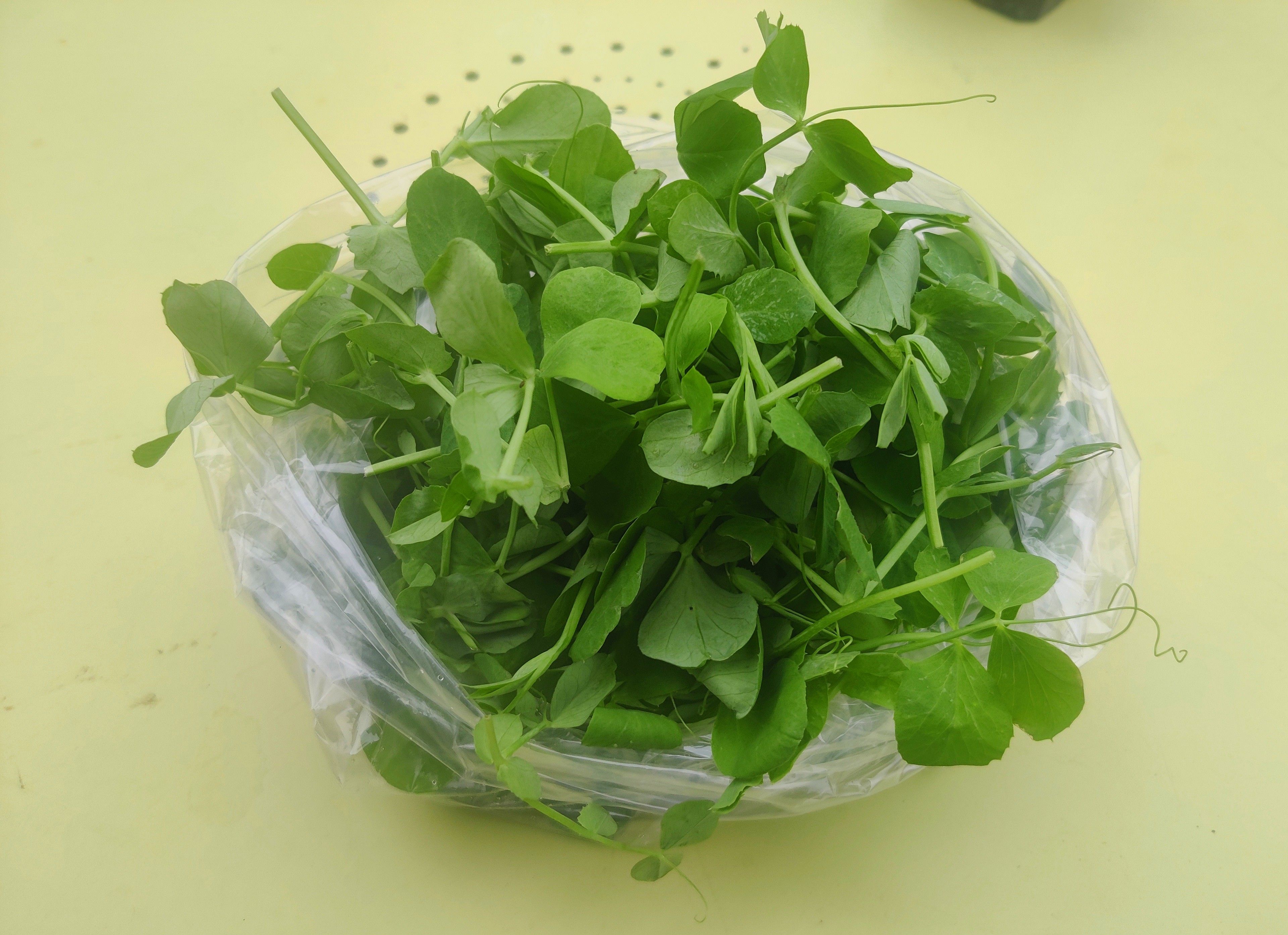 Pea Shoots (Forty Hall Farm)