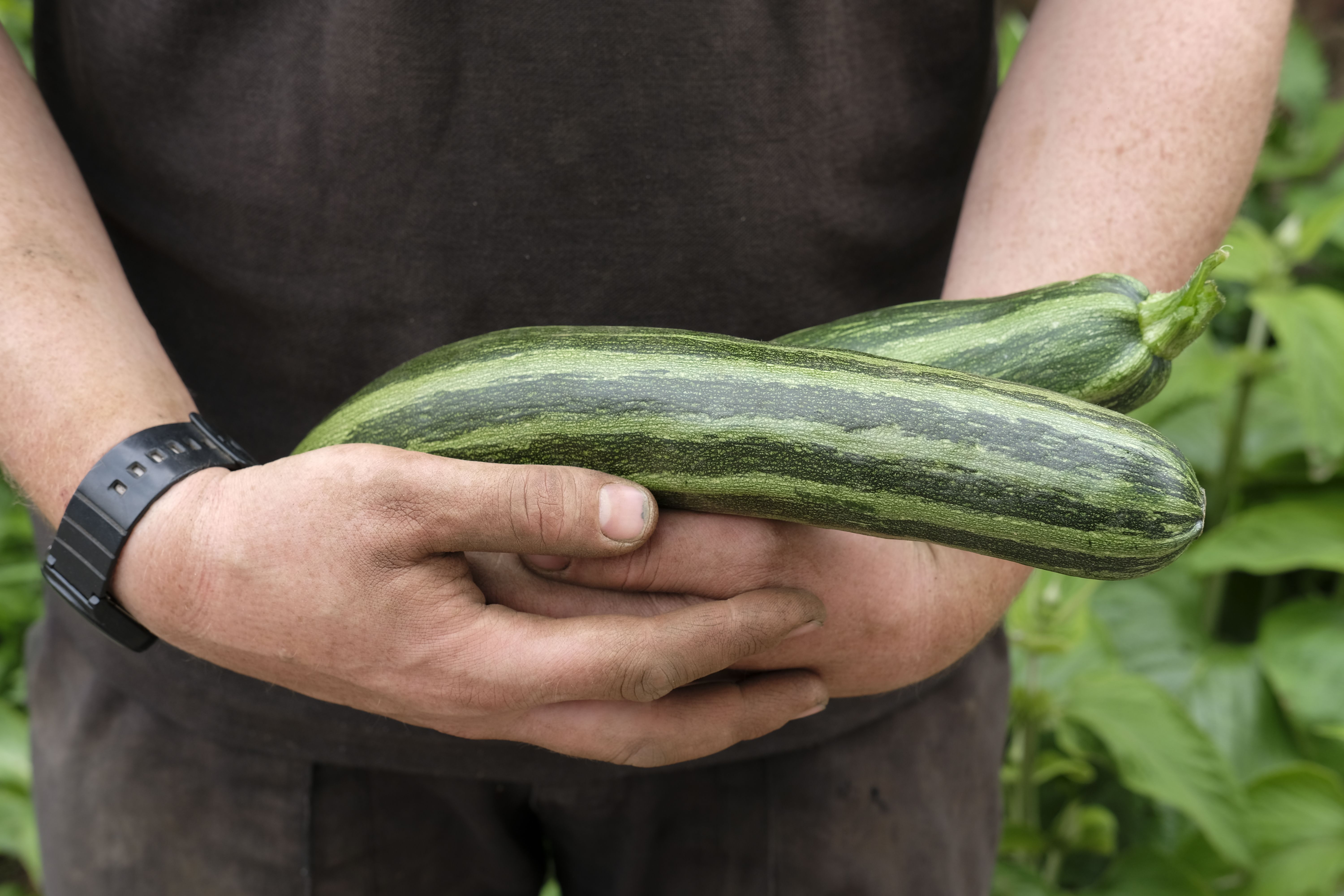 Image of Courgette and Leek Soup