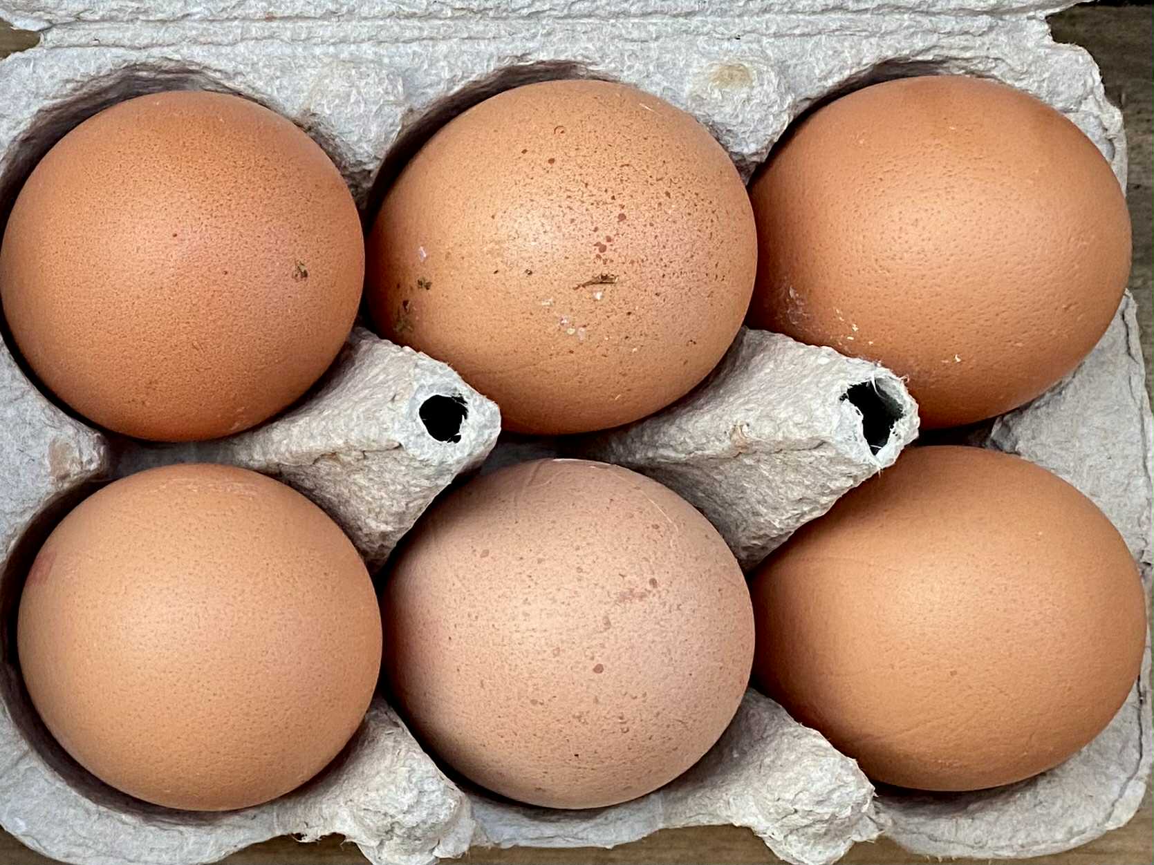 Eggs