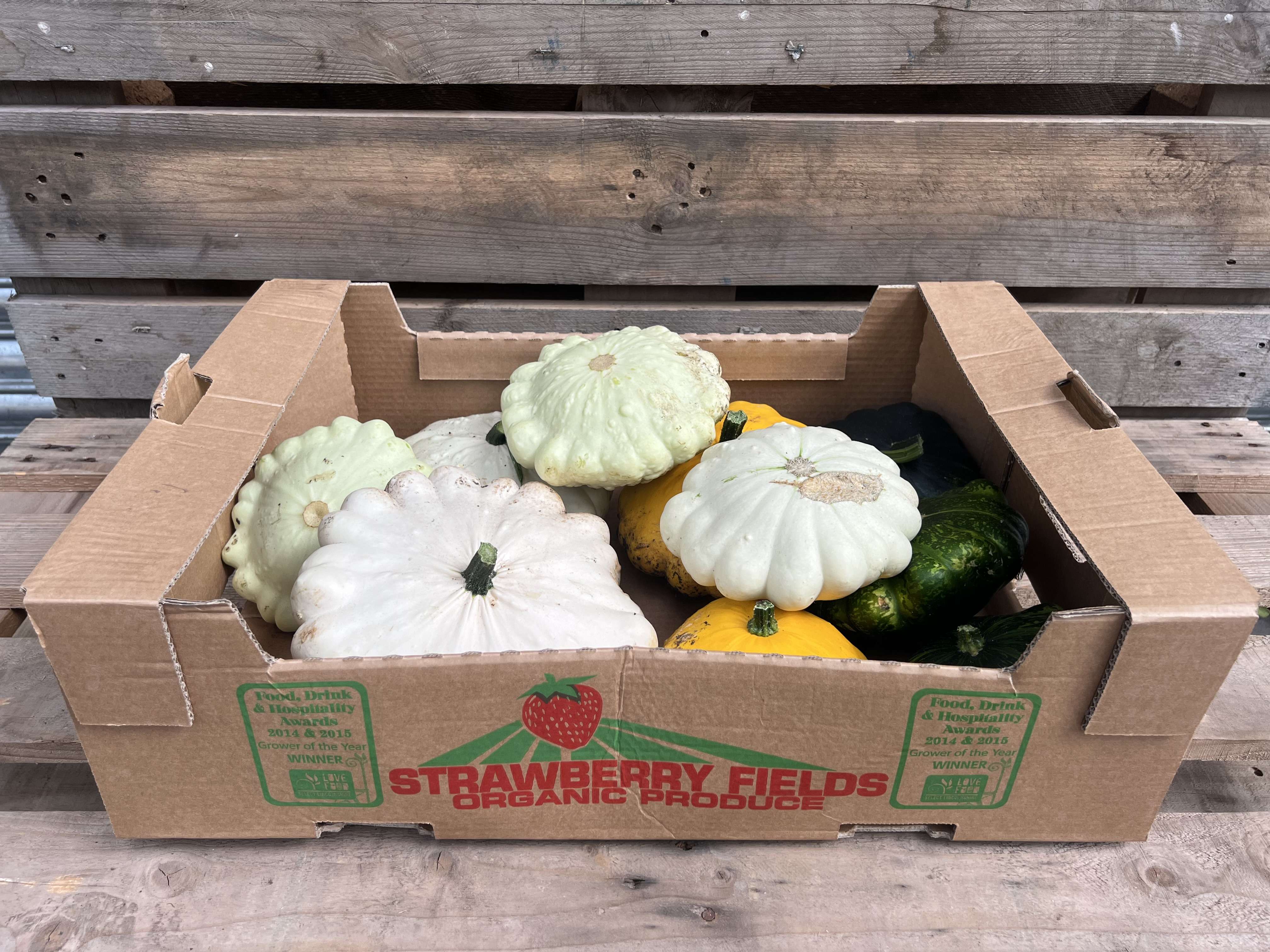 Image of Pattypan, Mixed colours (Light Summer Squash)