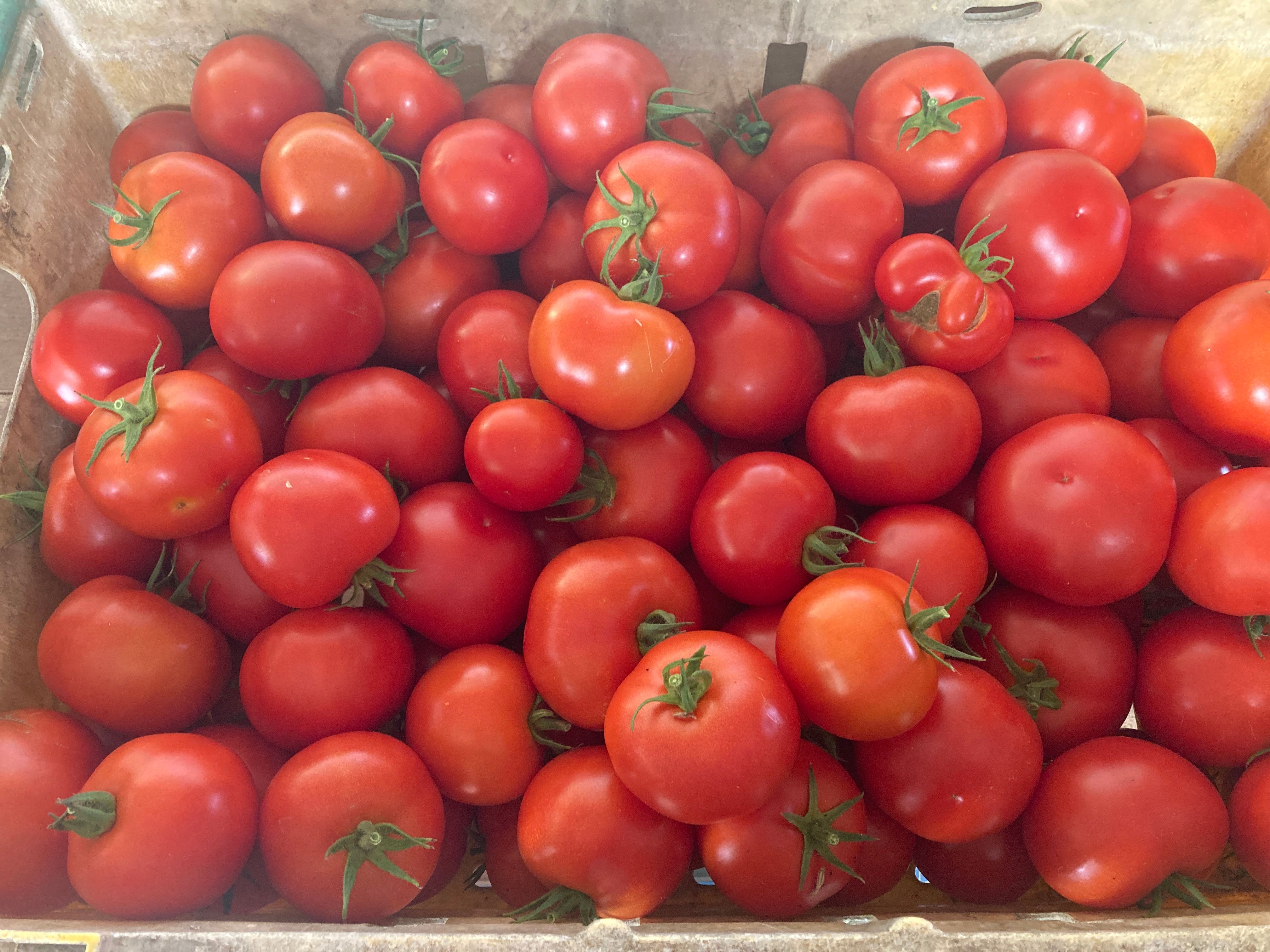 Image of Passata Tomato box 20kg