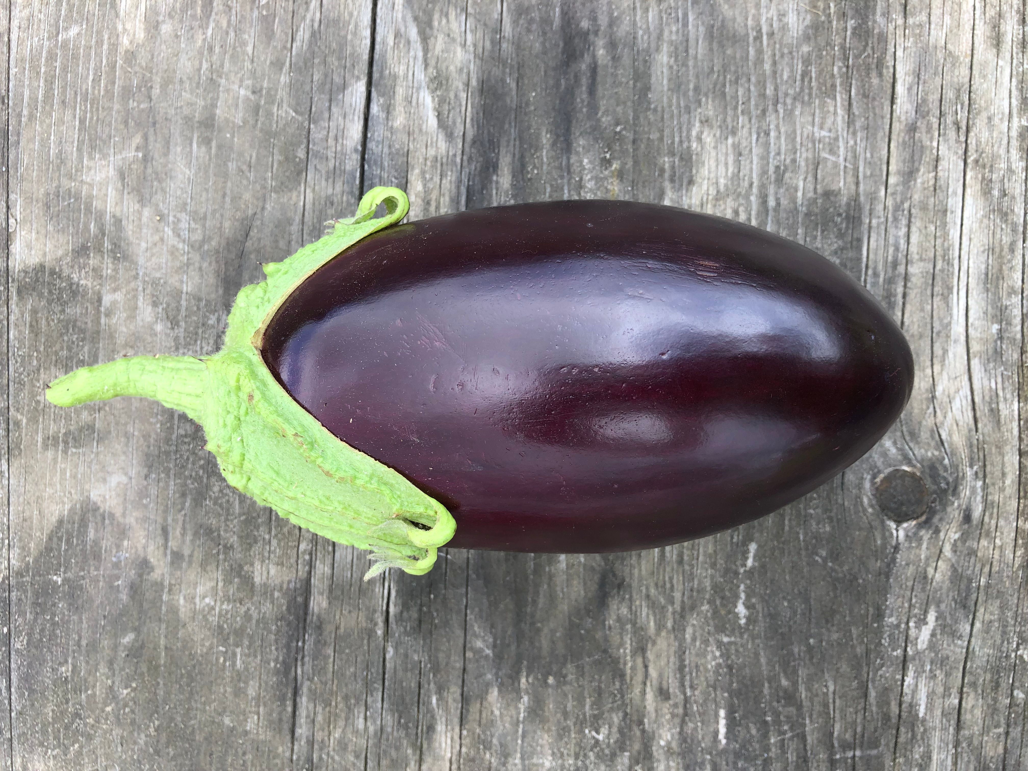 Aubergine