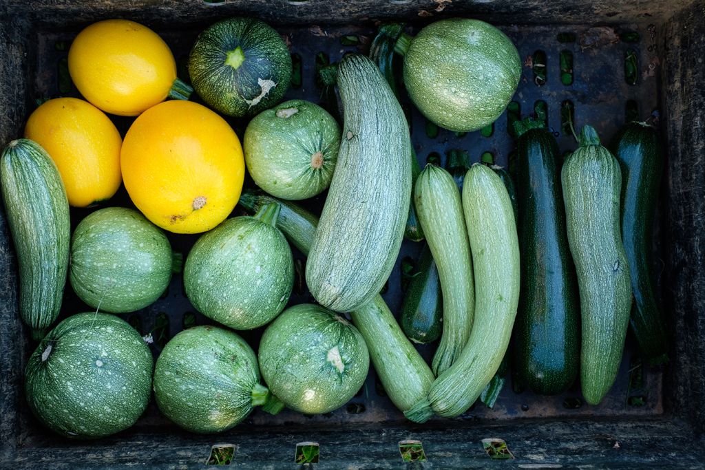 Image of Courgette Muffins