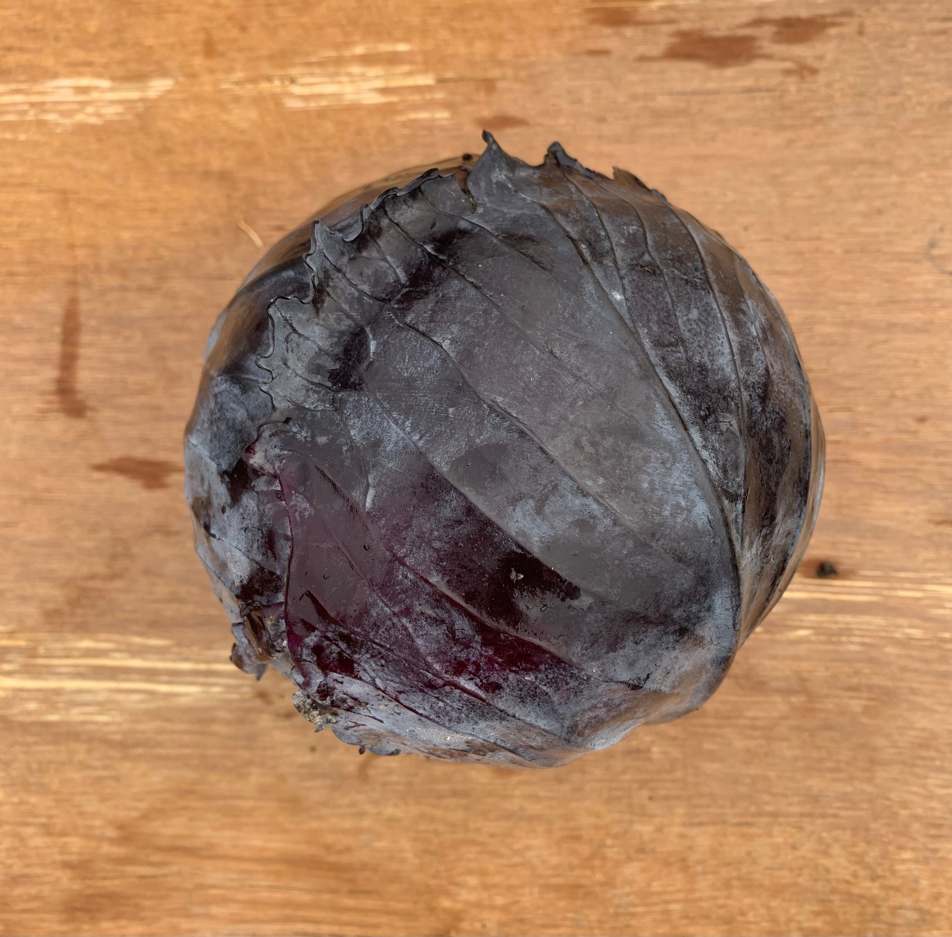Red Cabbage