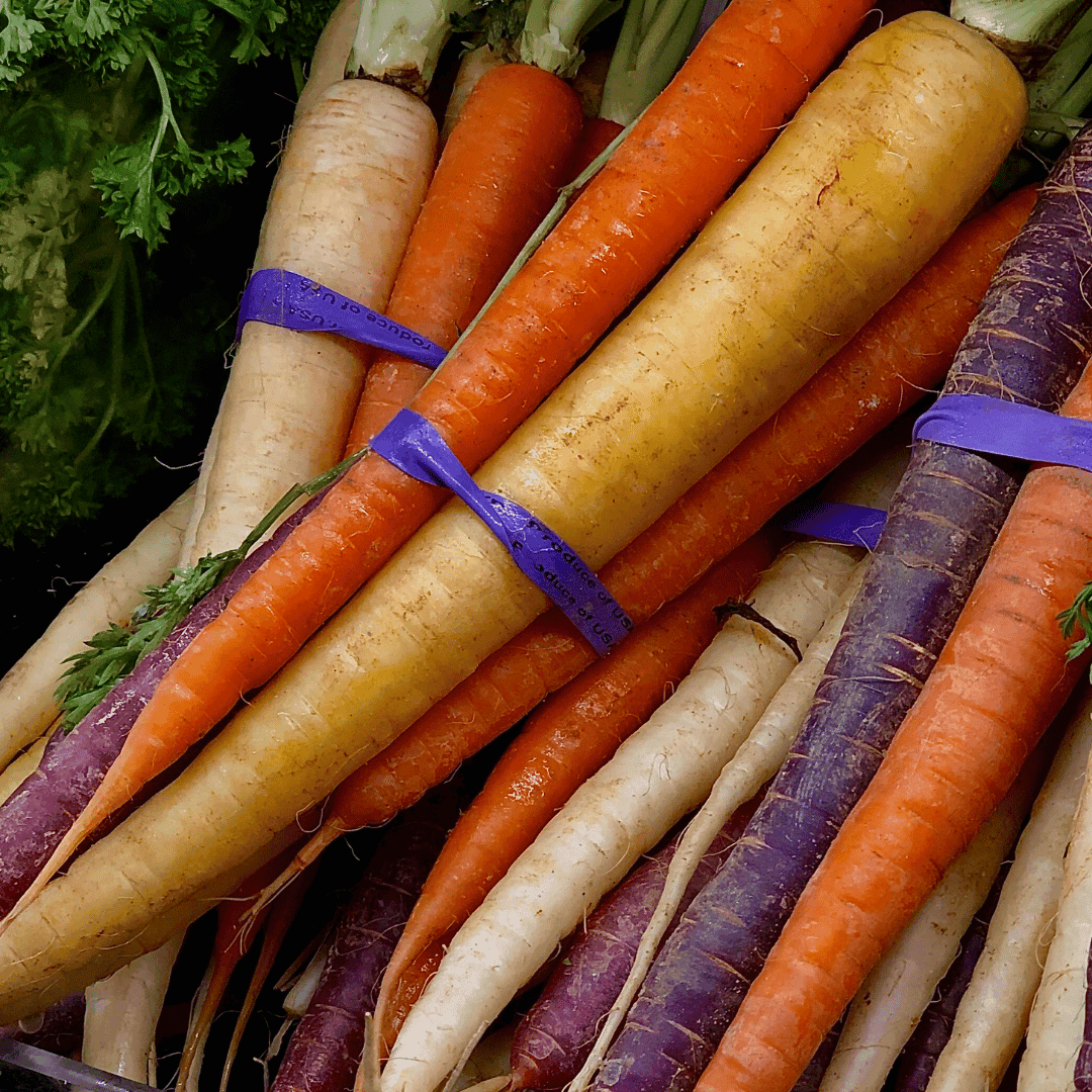 Carrots - Rainbow