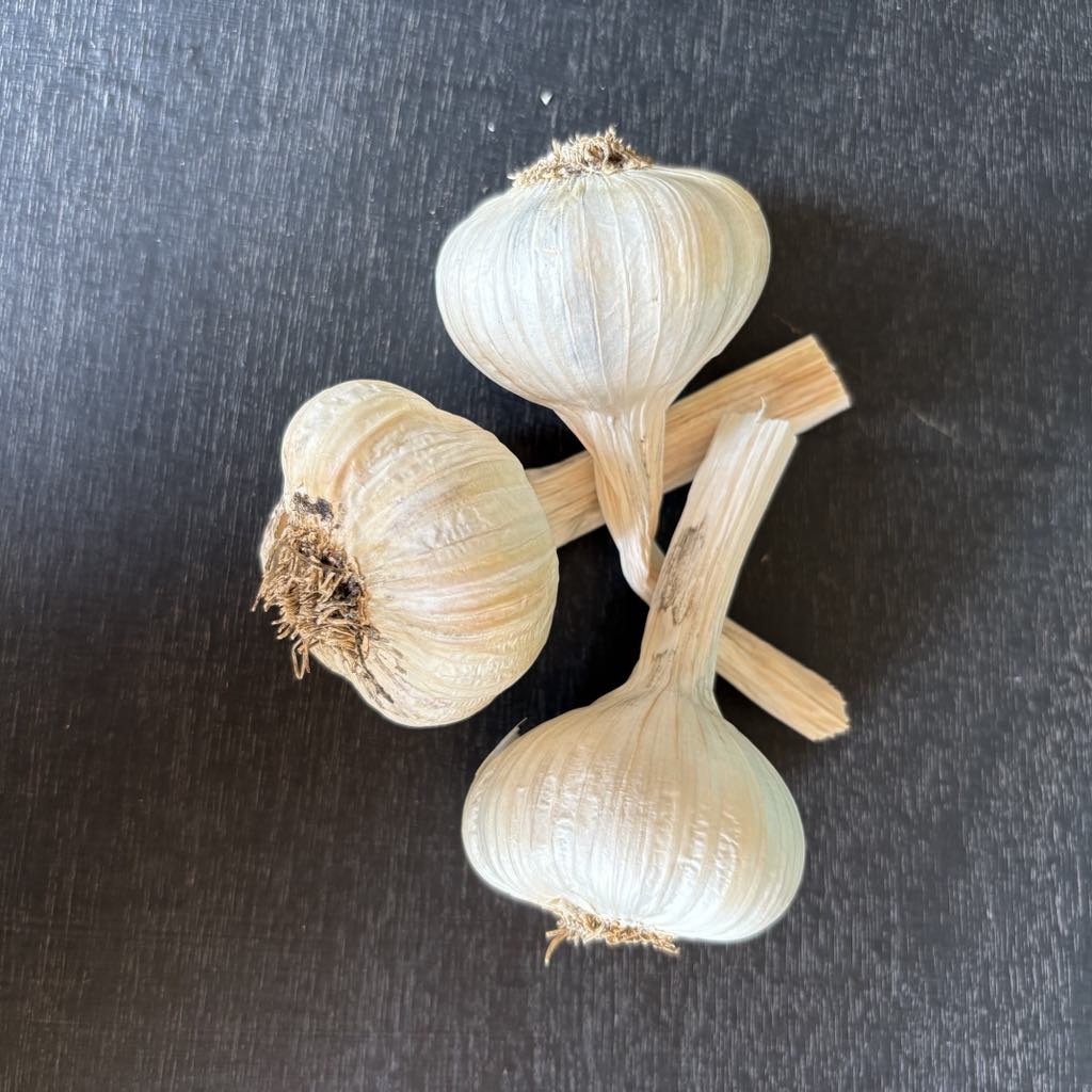 Garlic (x3)