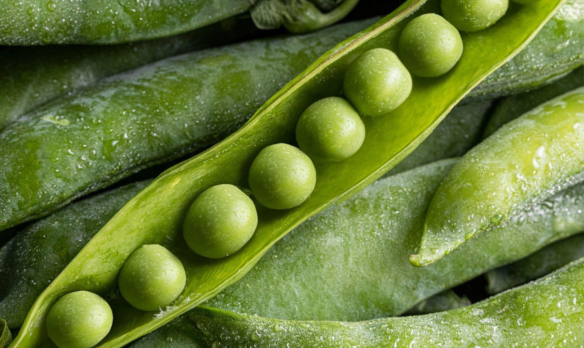 Image of Garden Peas