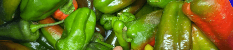 Image of Mixed sweet peppers