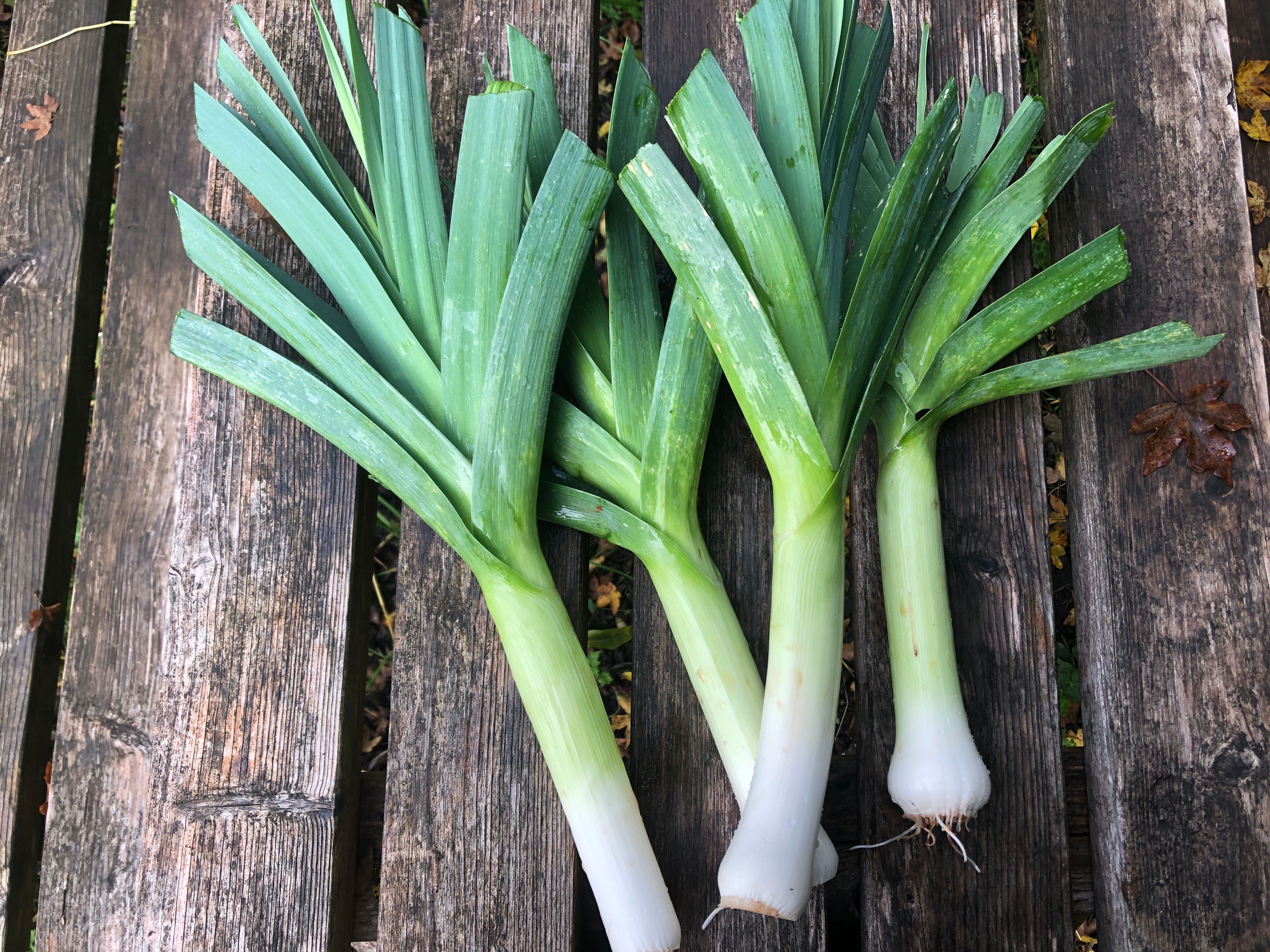 Leeks
