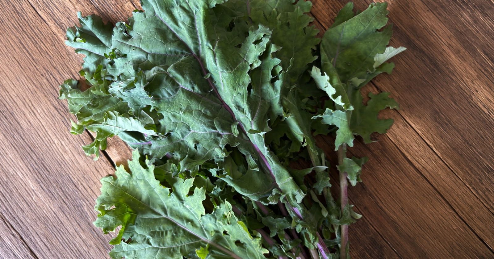 Image of Kale, Red Russian (150g)
