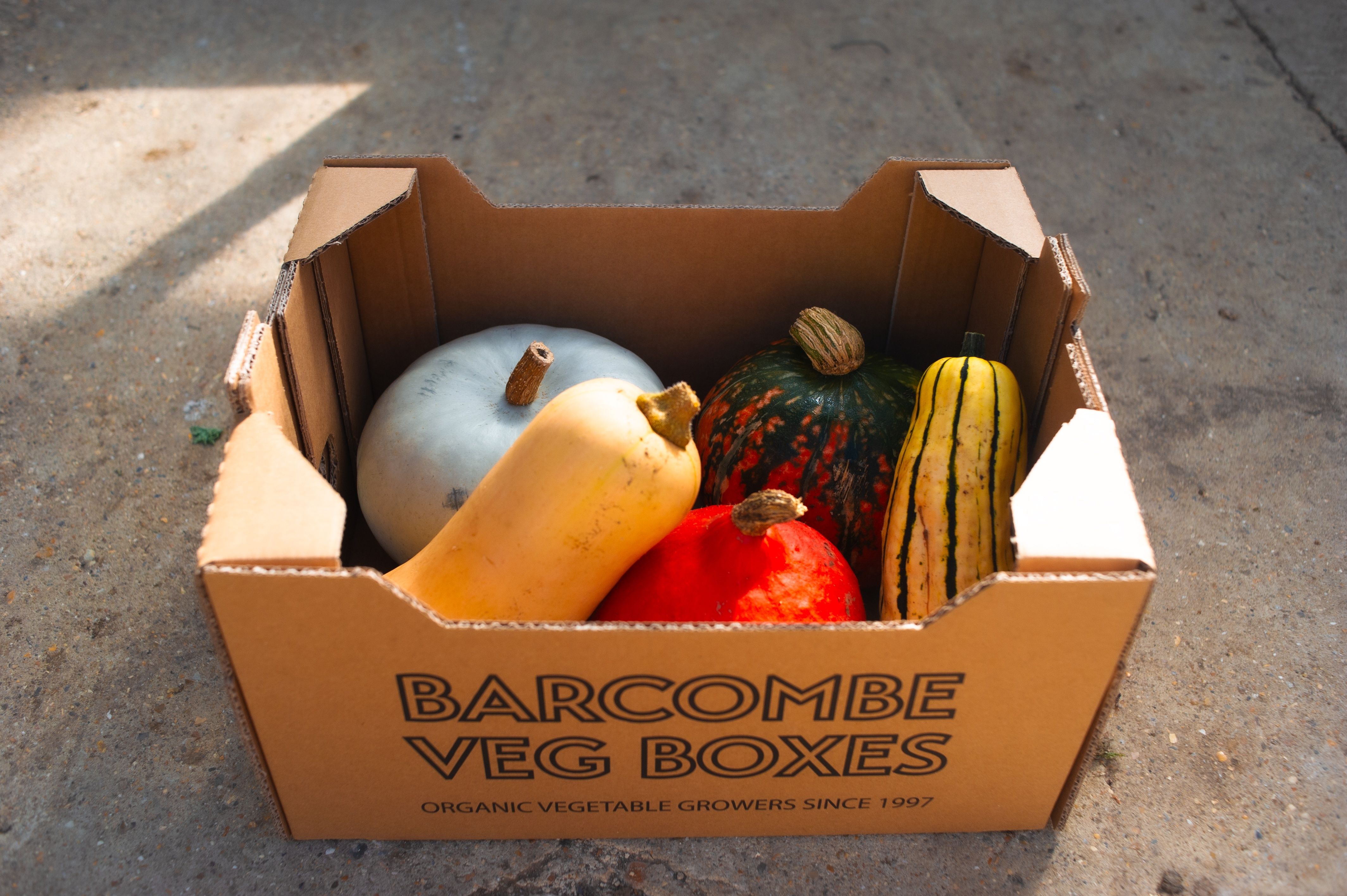 Image of Squash Box