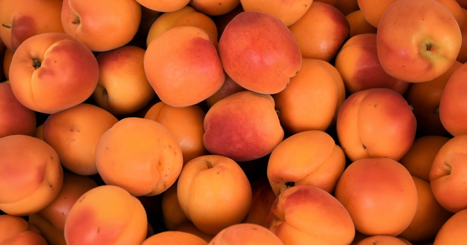 Image of Apricots (250g)