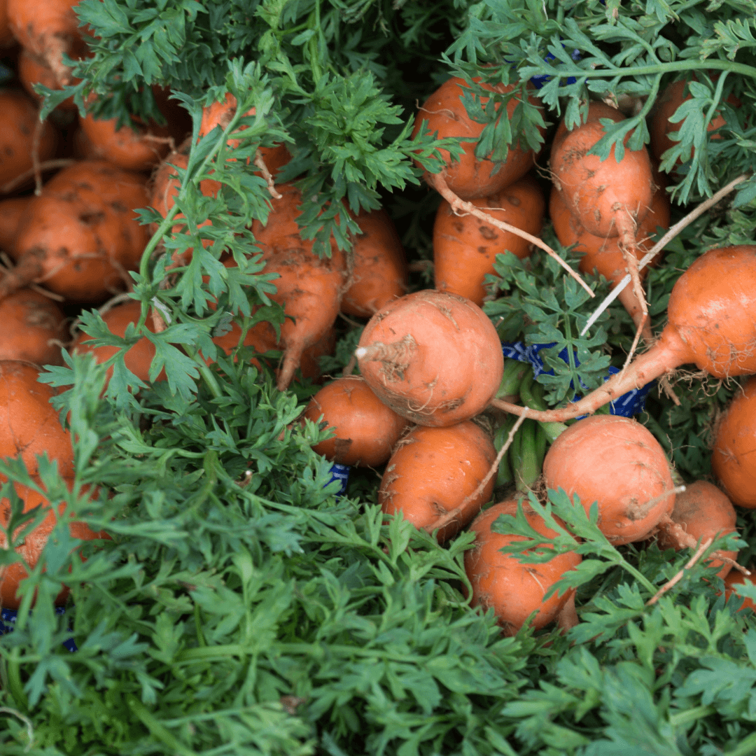 Carrots - Parisienne 