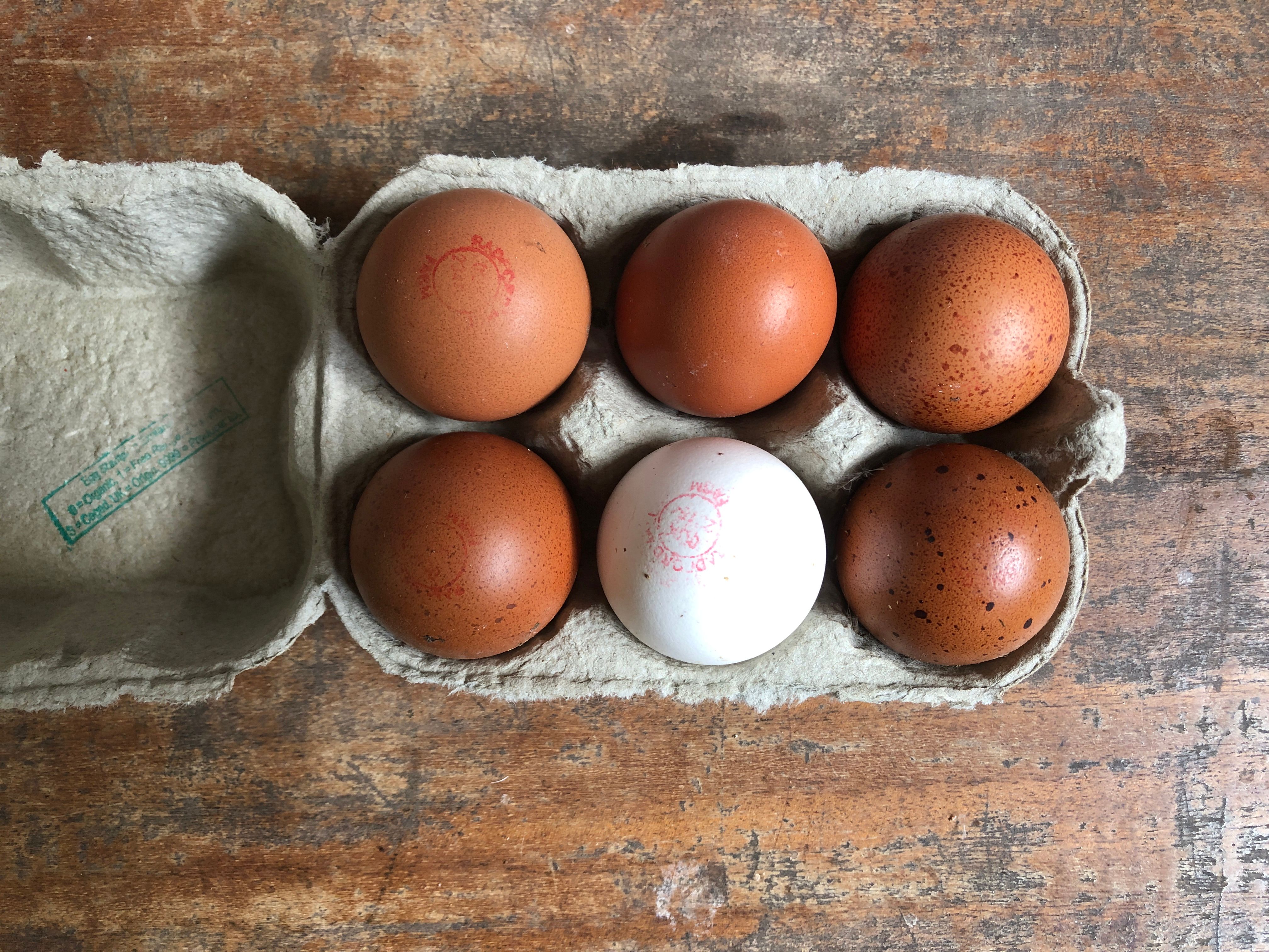 Eggs - Regular