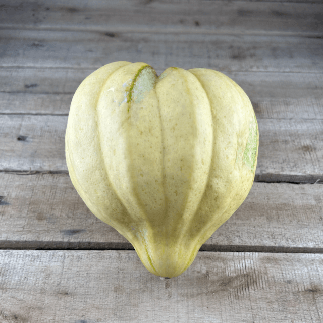 Thelma Sweet Potato Squash