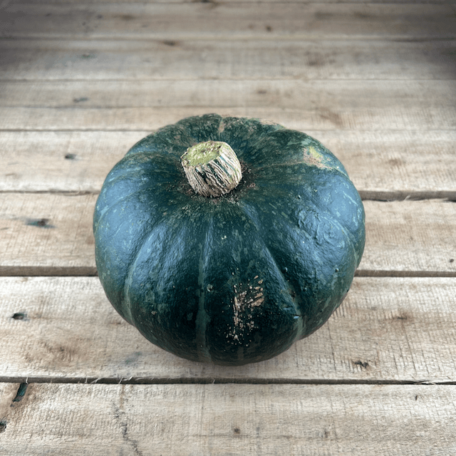 Meteor Squash