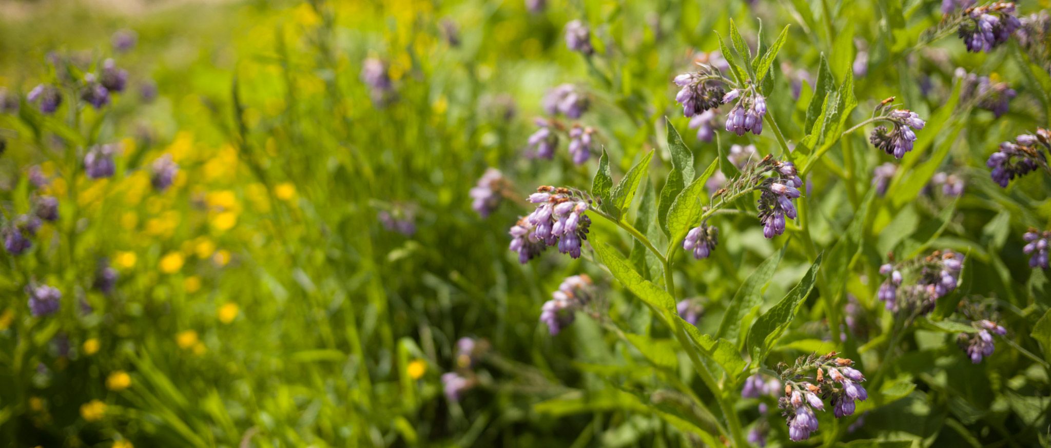 Image of Frequently asked questions