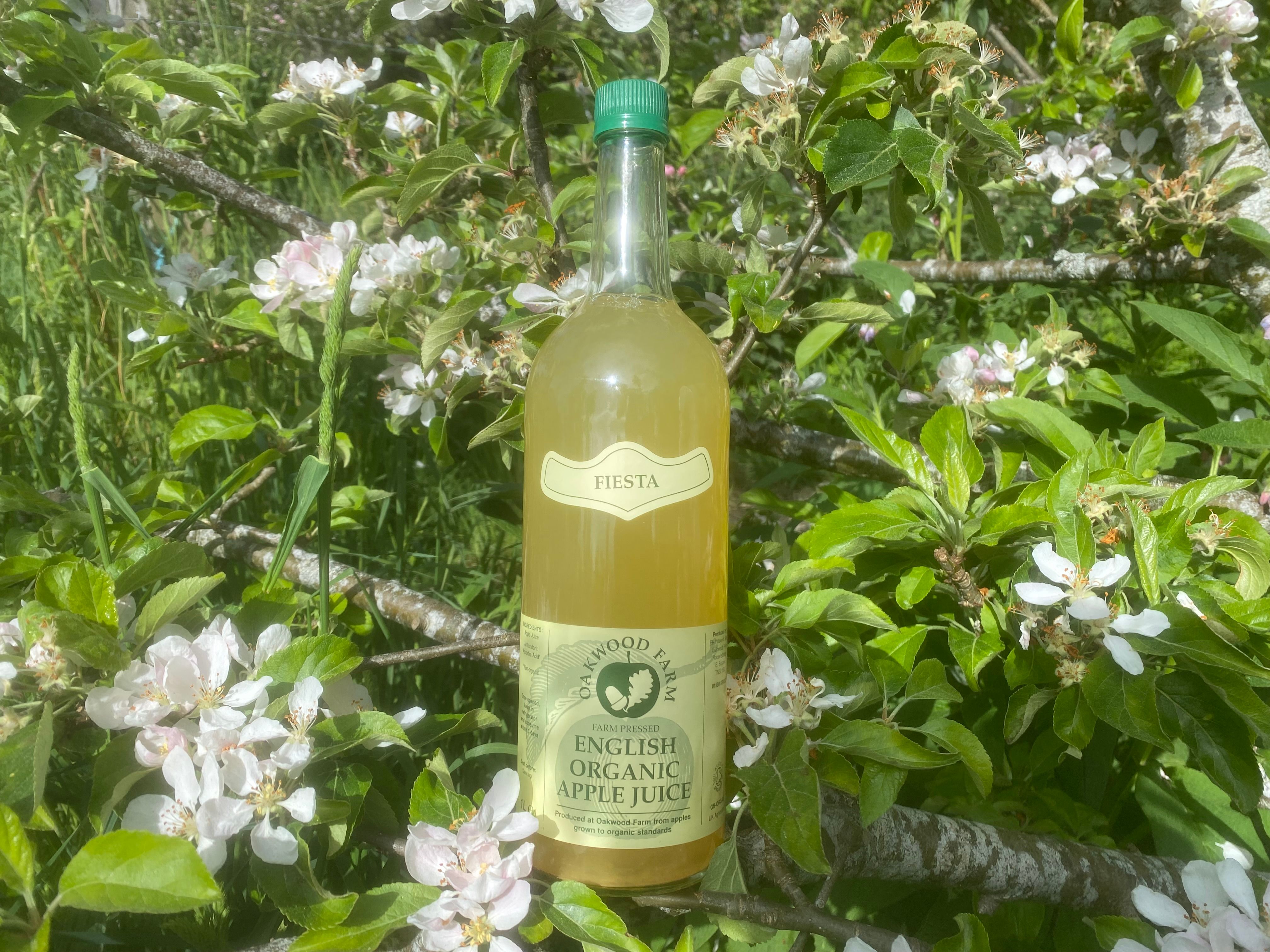 Apple juice 1L- Gala