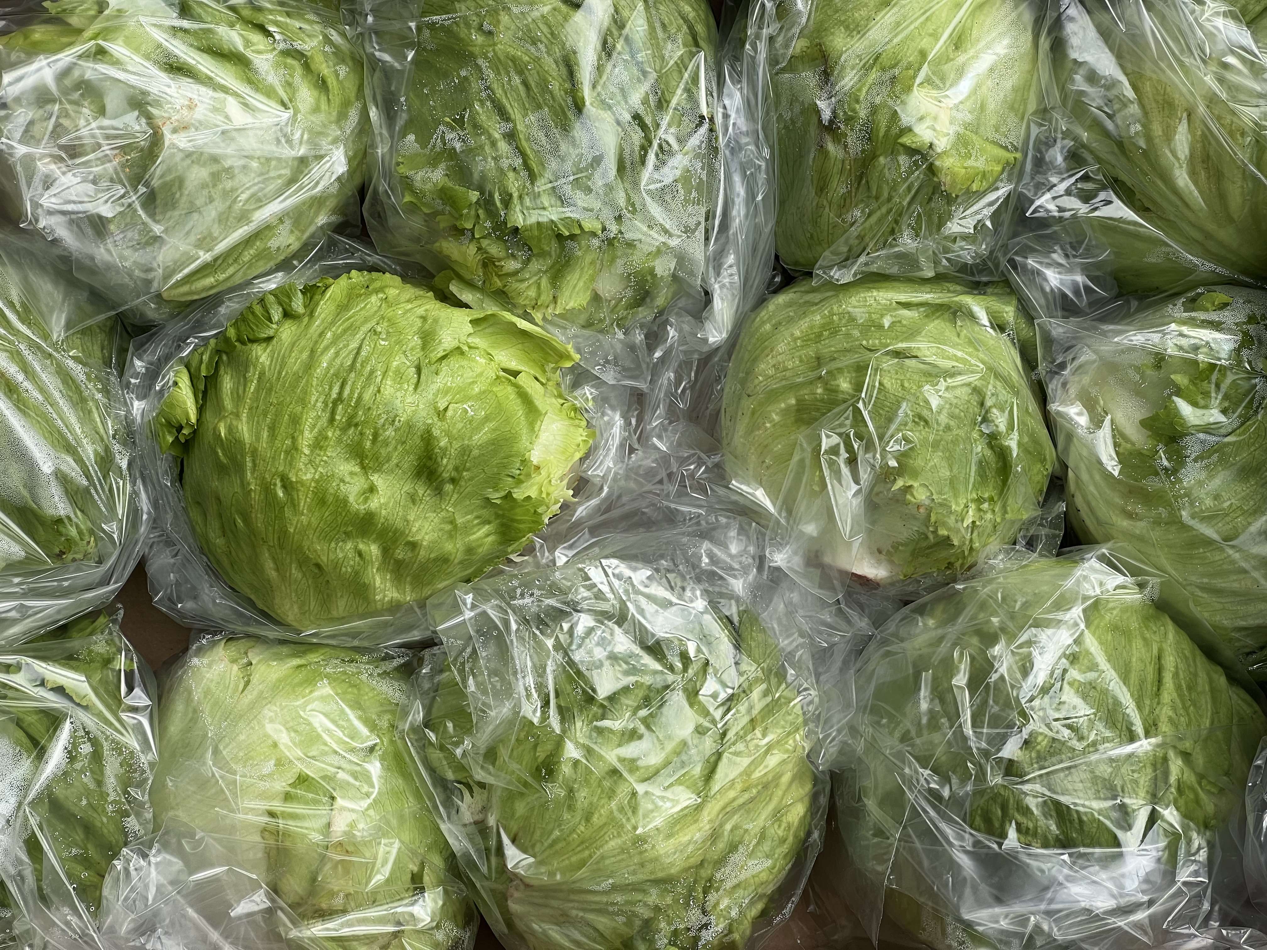 Iceberg Lettuce