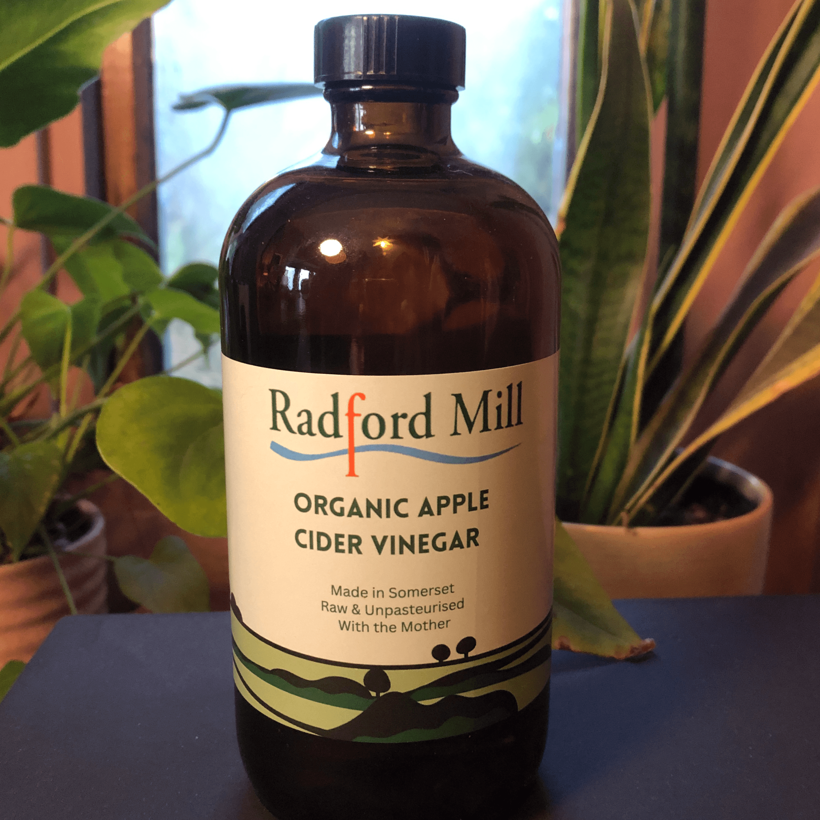 Apple Cider Vinegar
