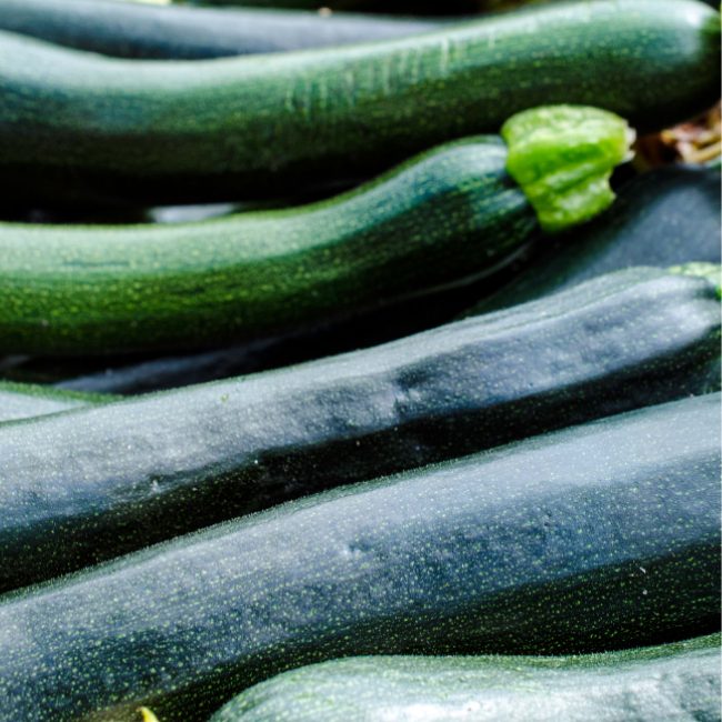 Courgette - Black Beauty MW