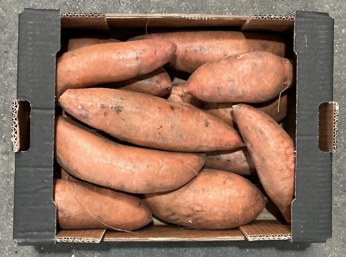 Sweet Potato