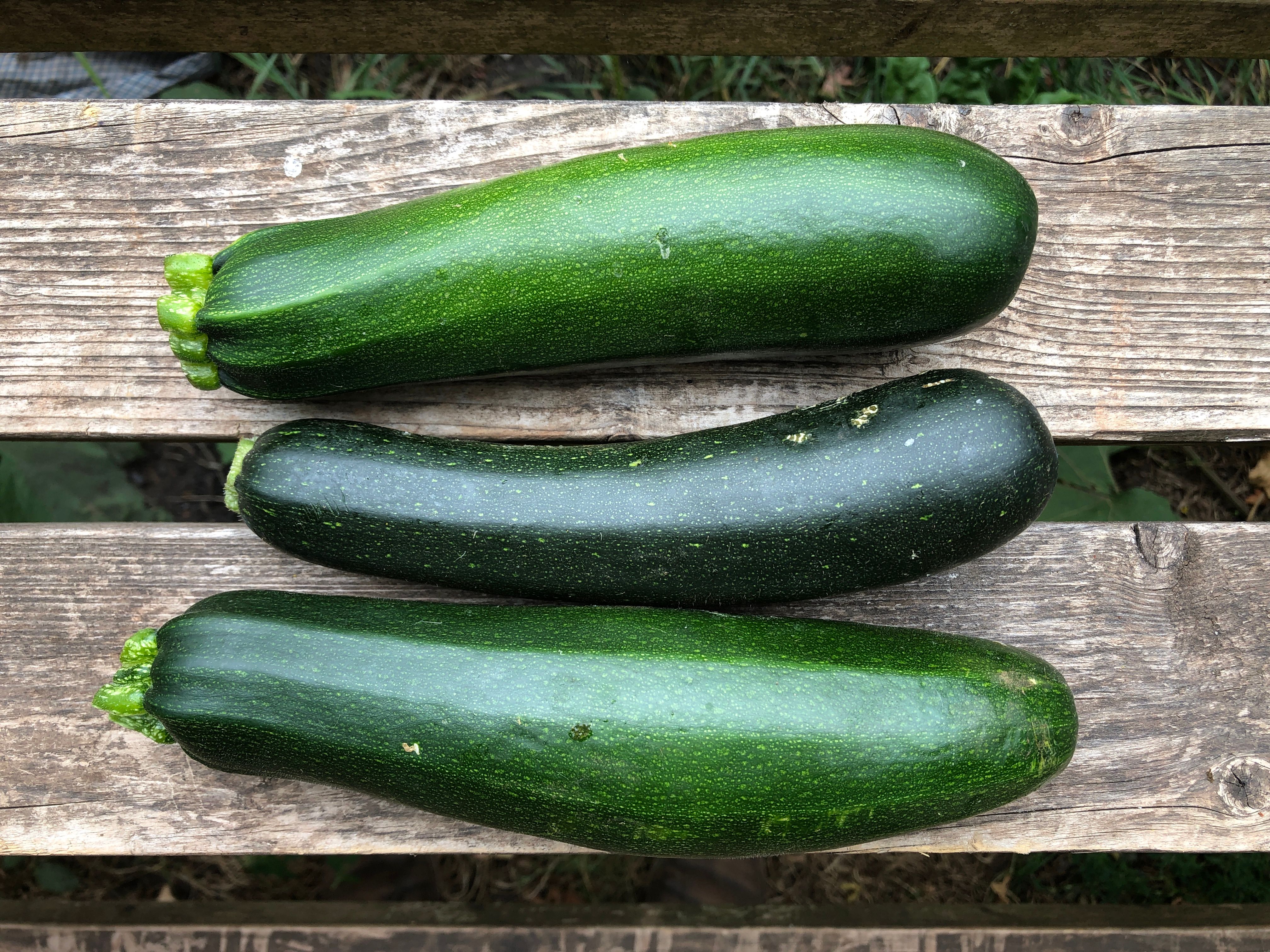 Courgette
