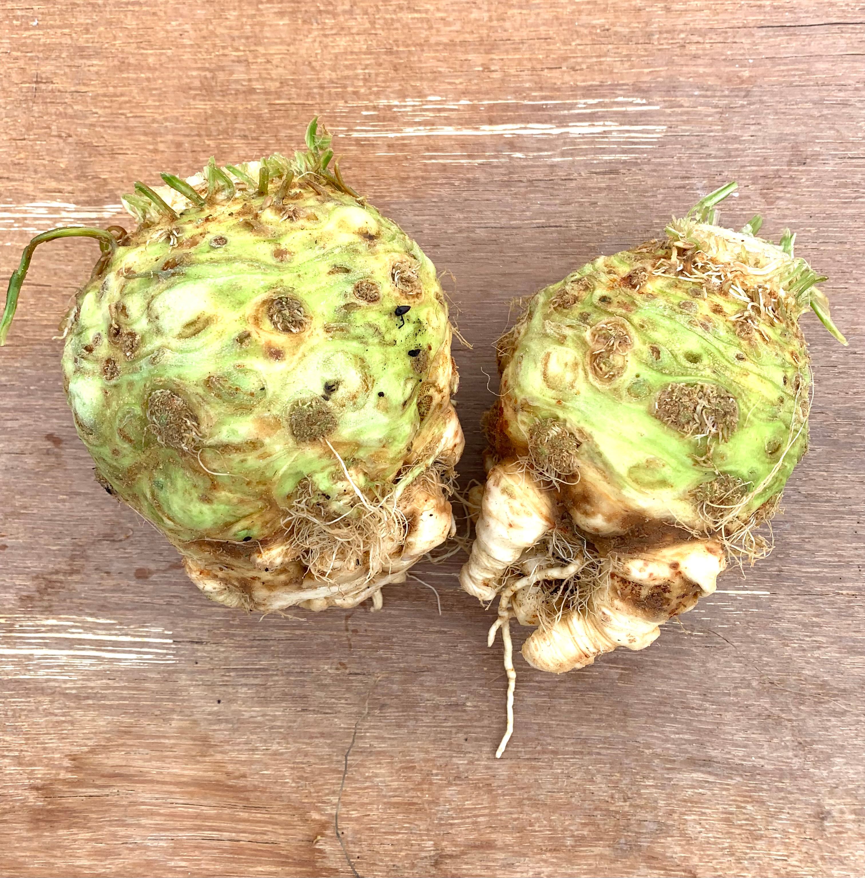 Image of Celeriac