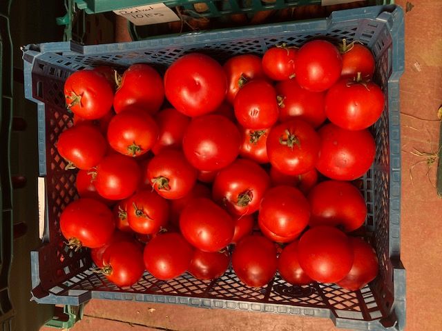 Passata Tomato box 5kg