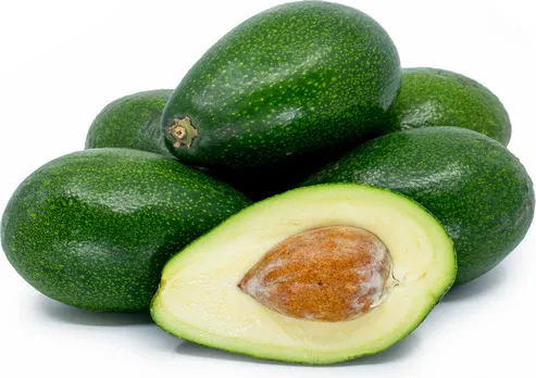 Organic Bacon Avocado