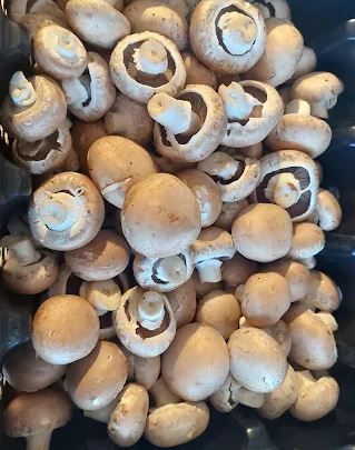 Mushrooms (Capel Mushrooms, Suffolk)