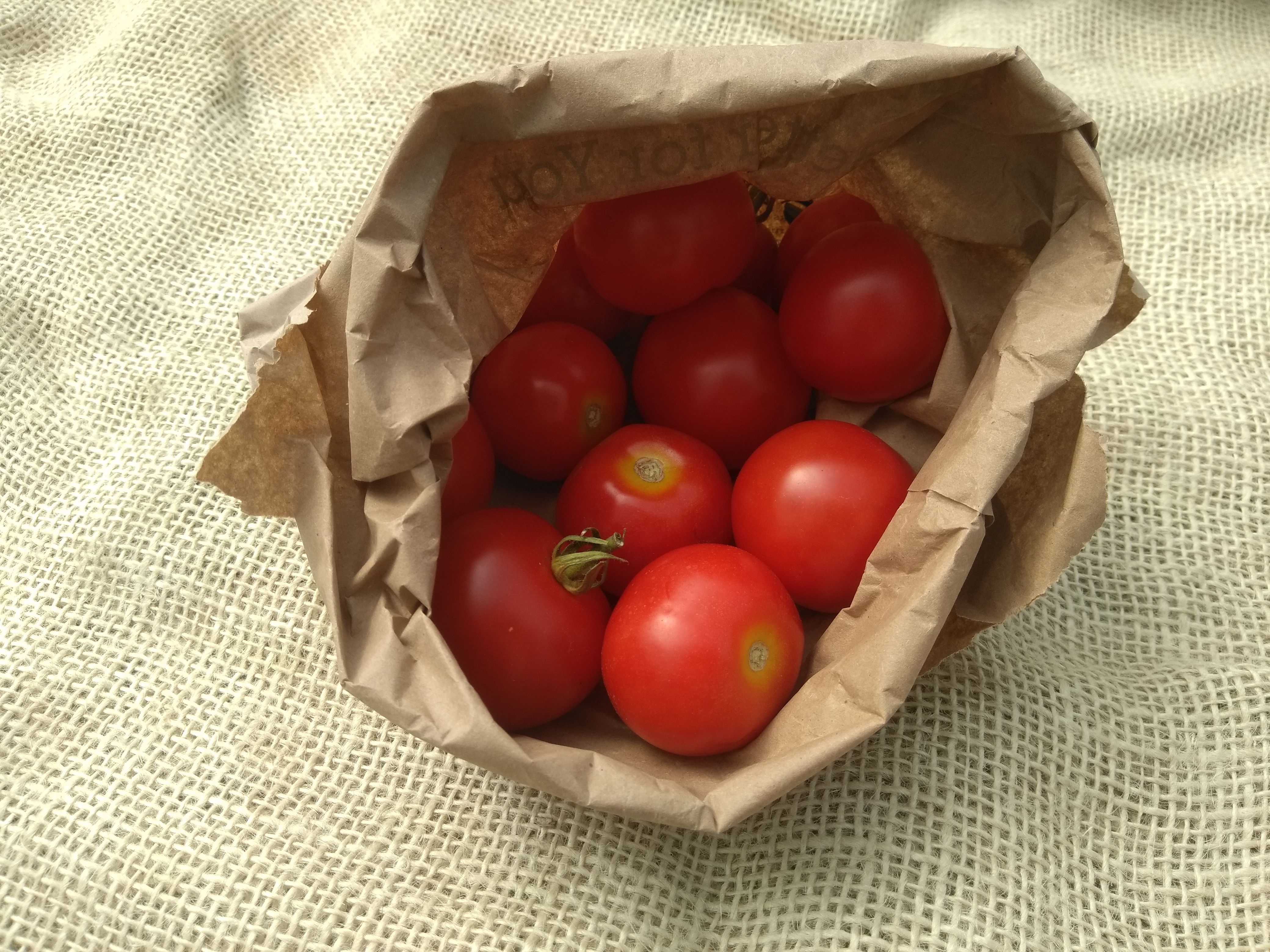 Image of Tomatoes (Forty Hall Farm)