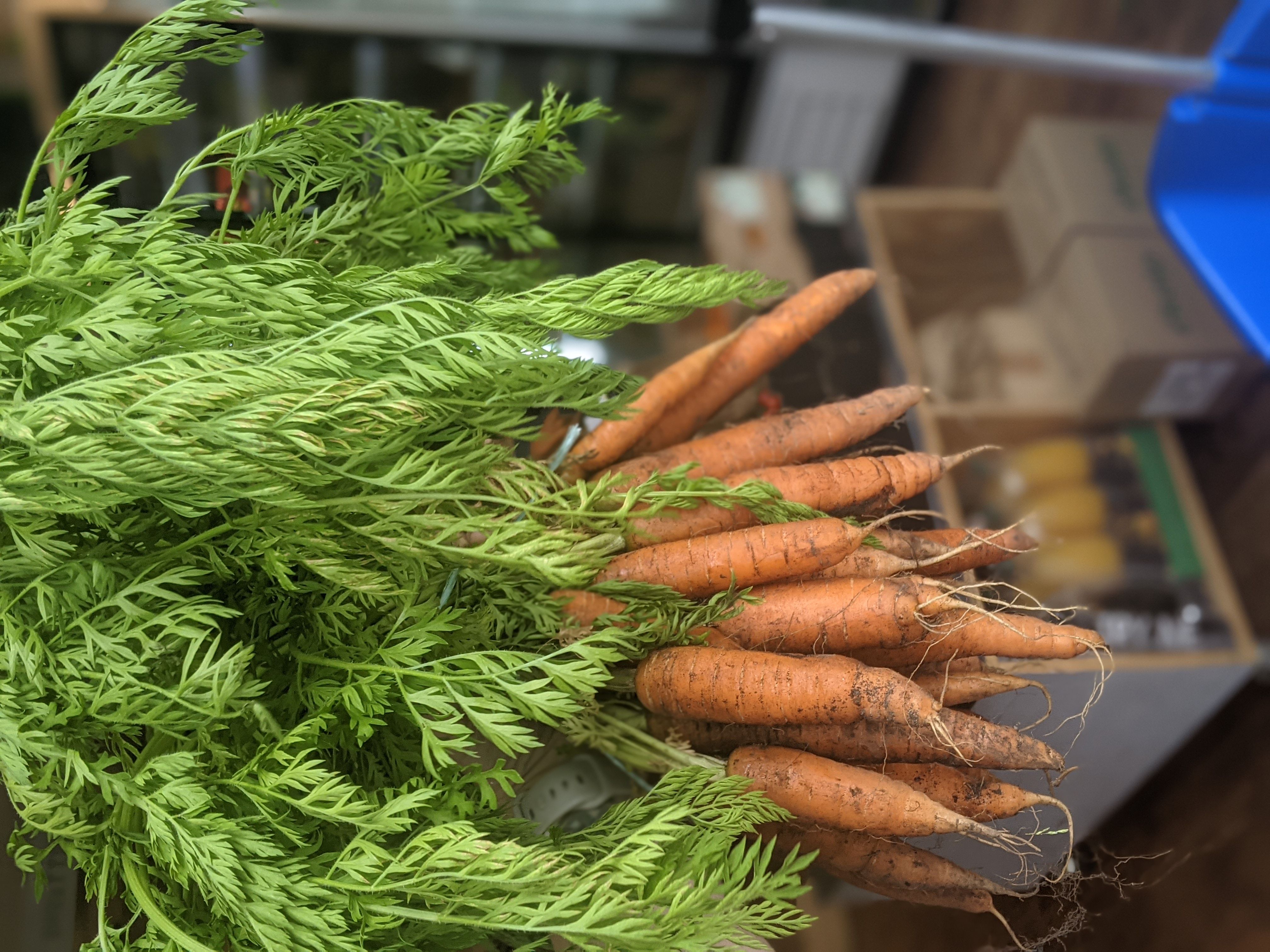 Image of British New Season Bunched Carrots (Organic)