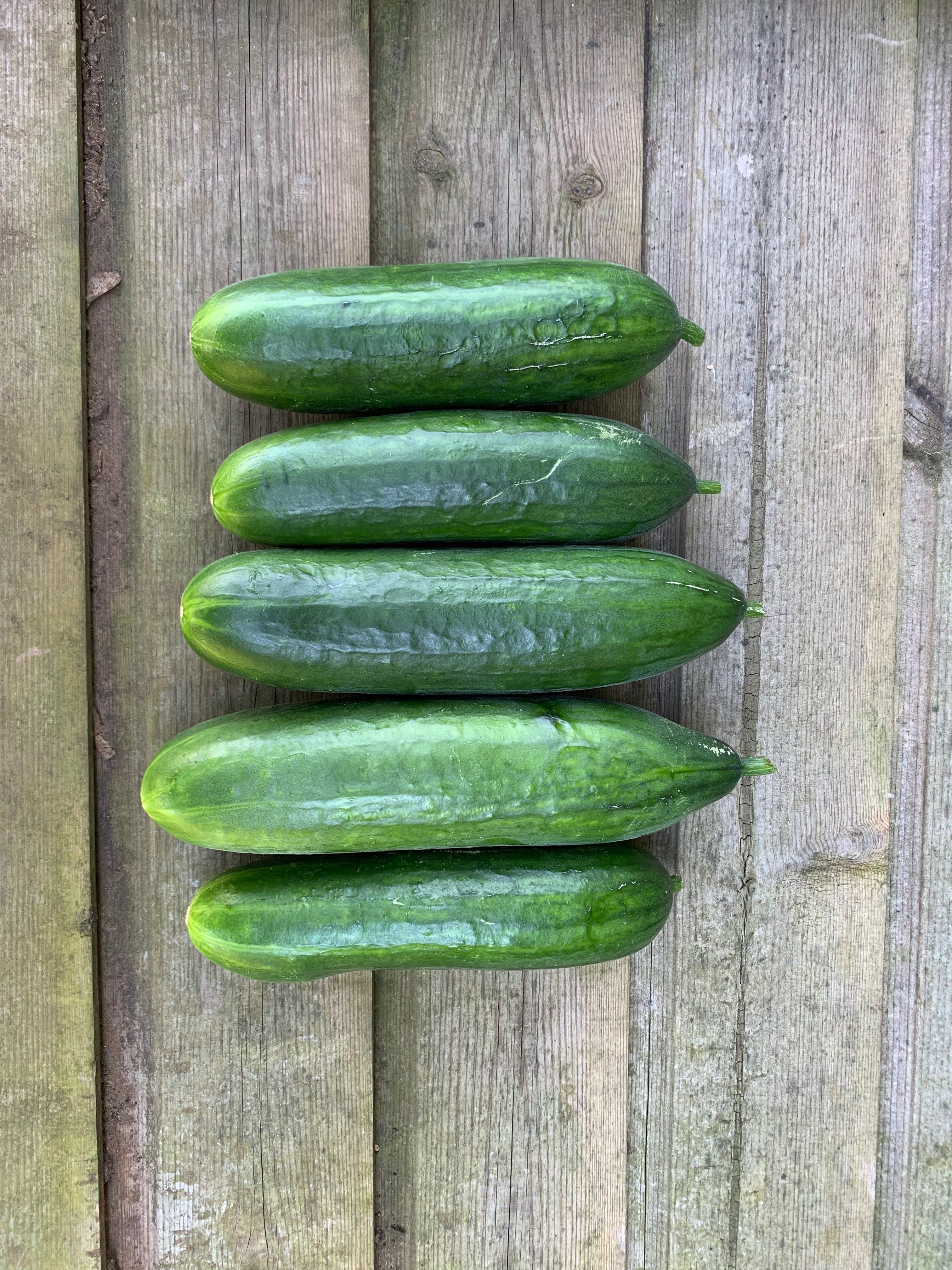 Image of Cucumber Box