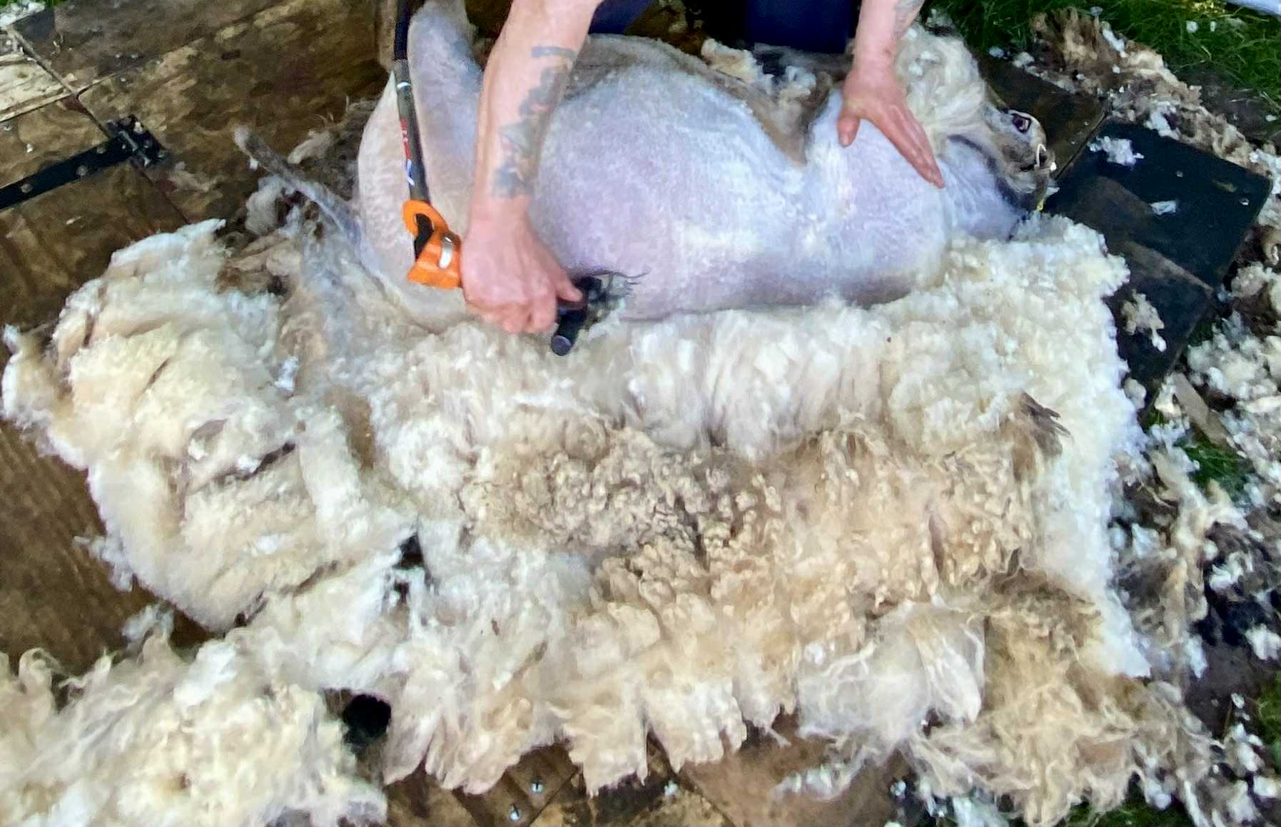 Image of Wool products