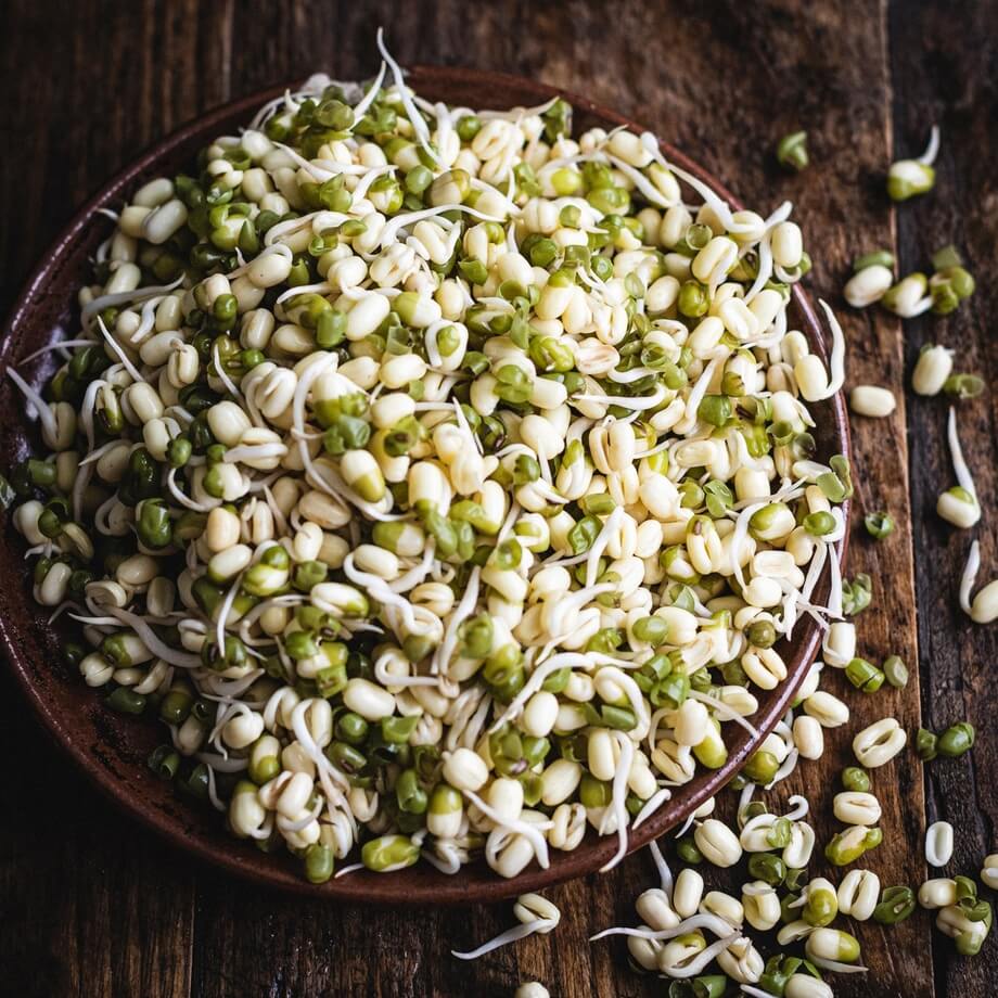 Image of Mung Bean Sprouts
