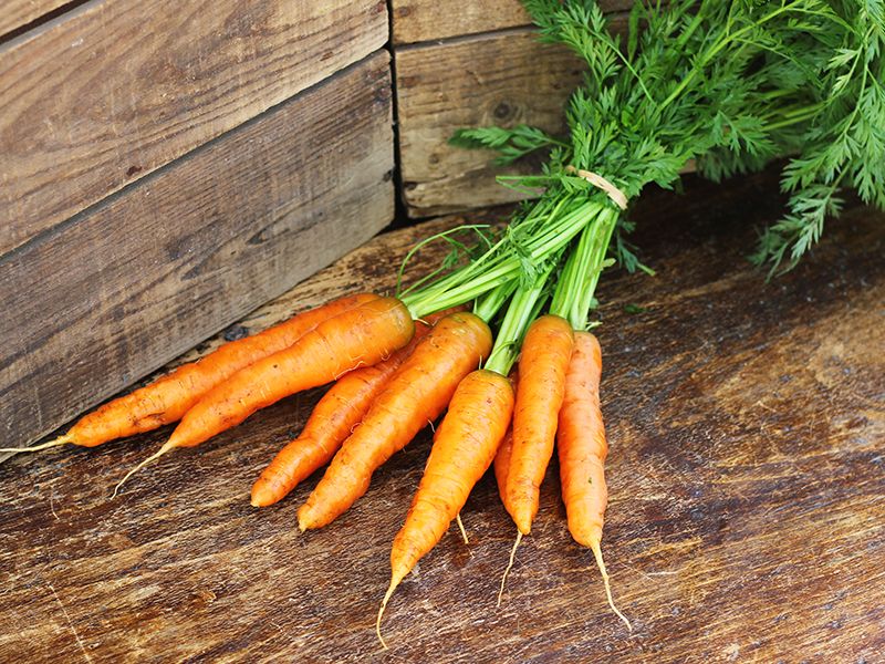 Image of Bunched Carrots