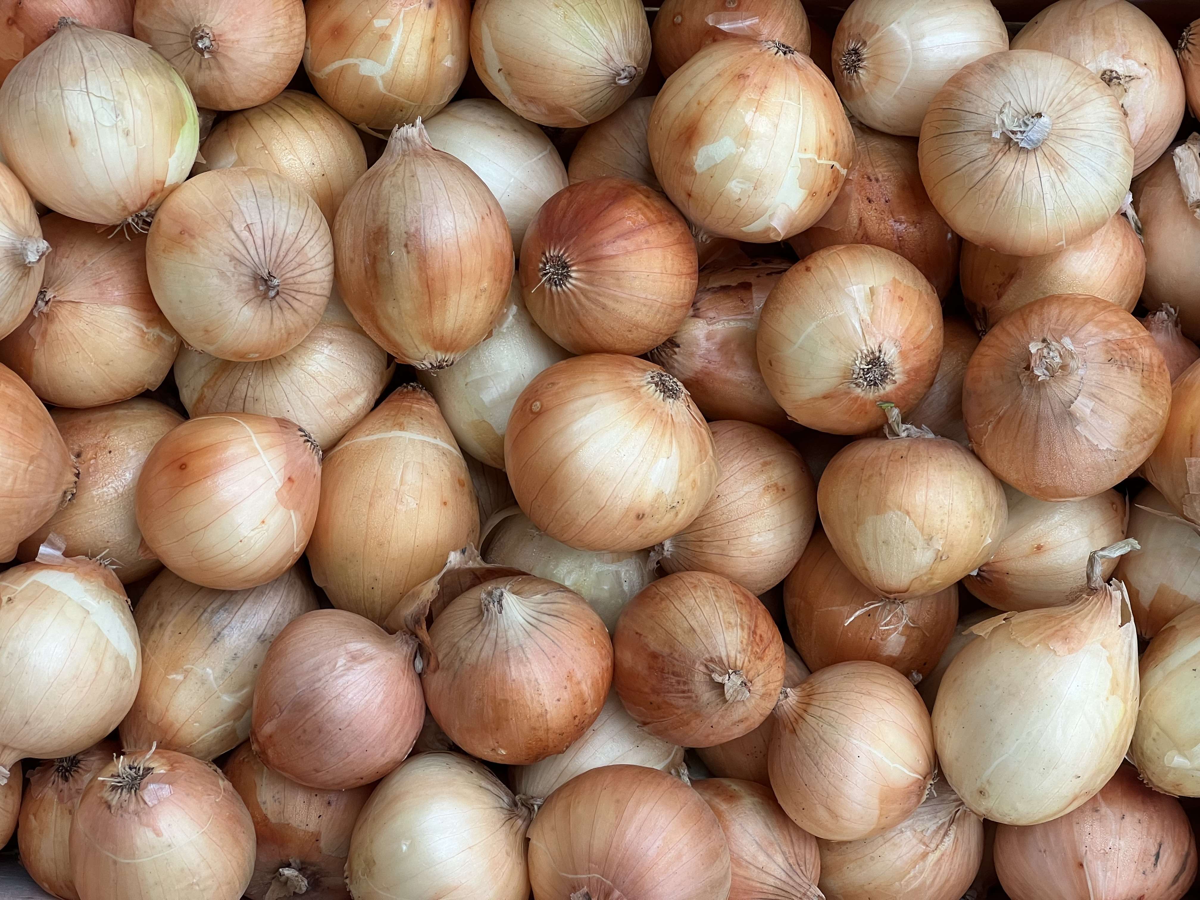 Onions (Babosa, White)
