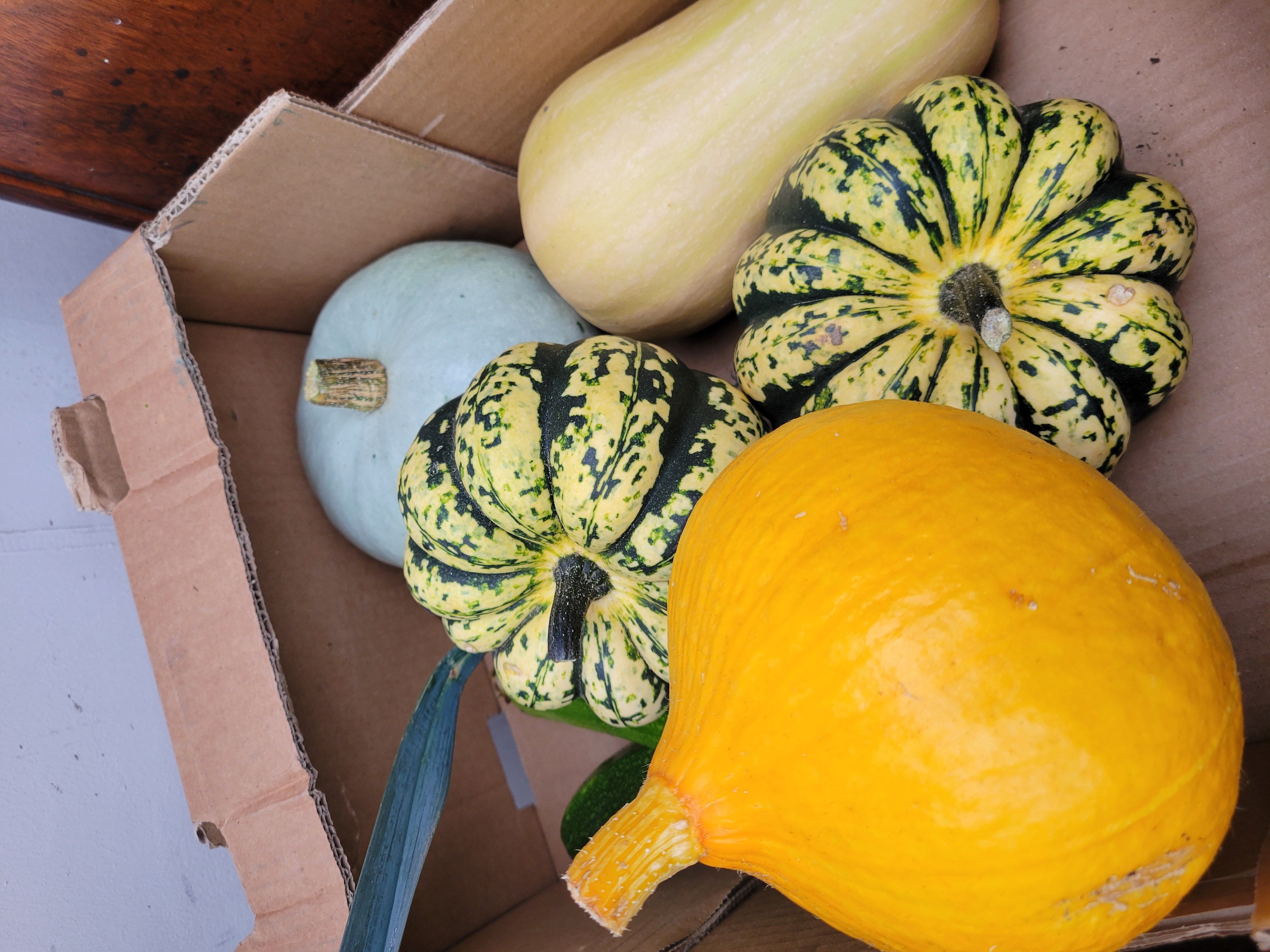 Paddock Mixed Squash Box: 5kg Box