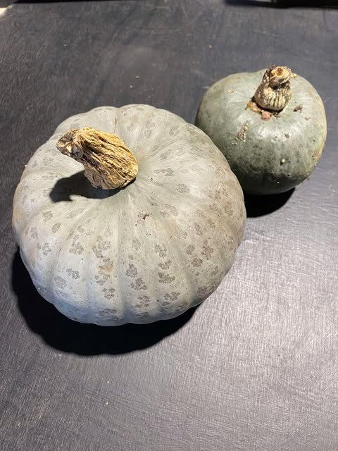 Crown Prince Squash