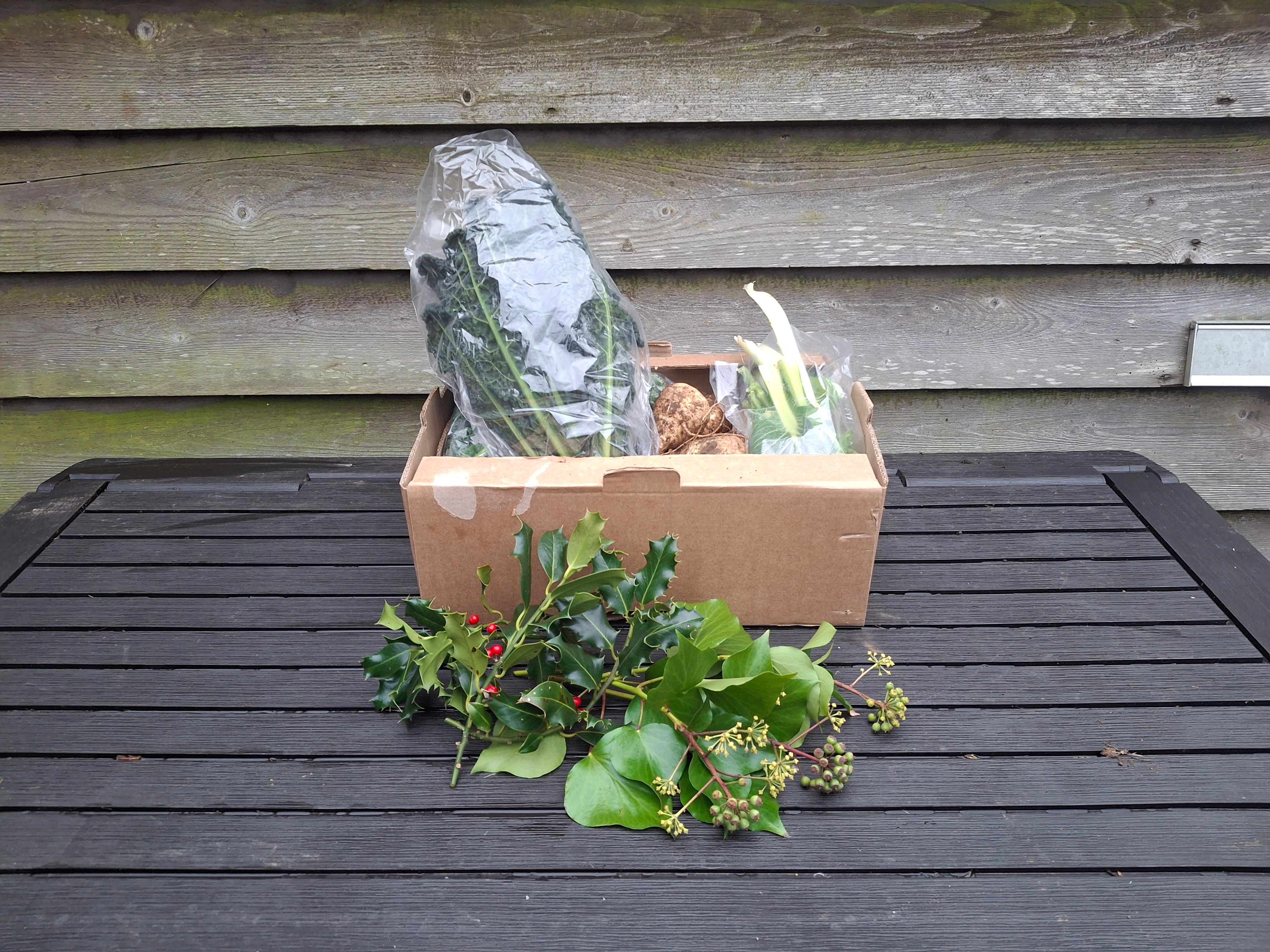 Bocs 'dolig cyfreol / Standard xmas box