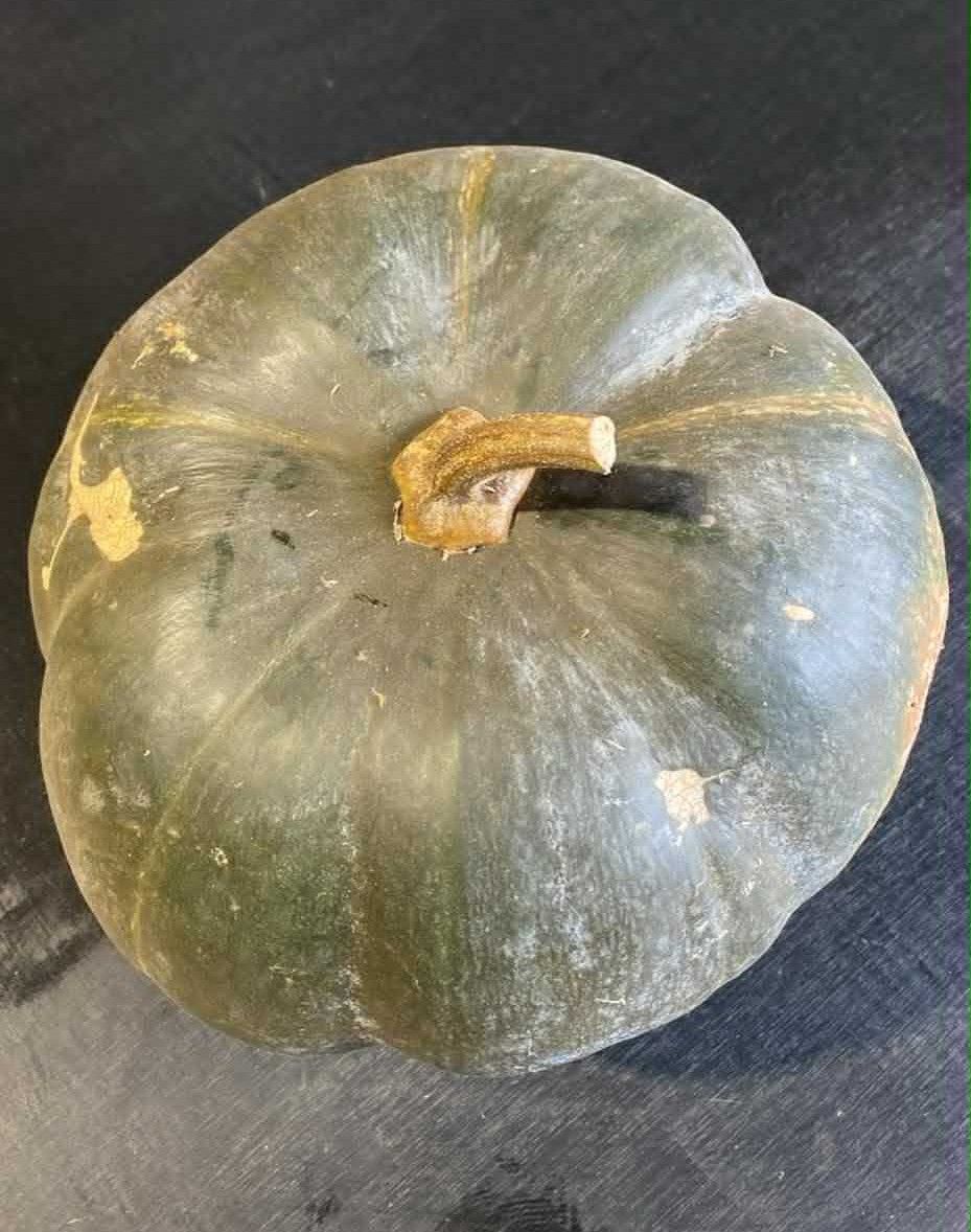 Musquee de Province